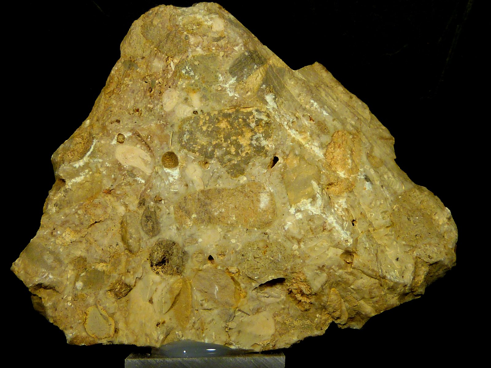Conglomerado
9 x 6,5 x 3
(Autor: Felipe Abolafia)