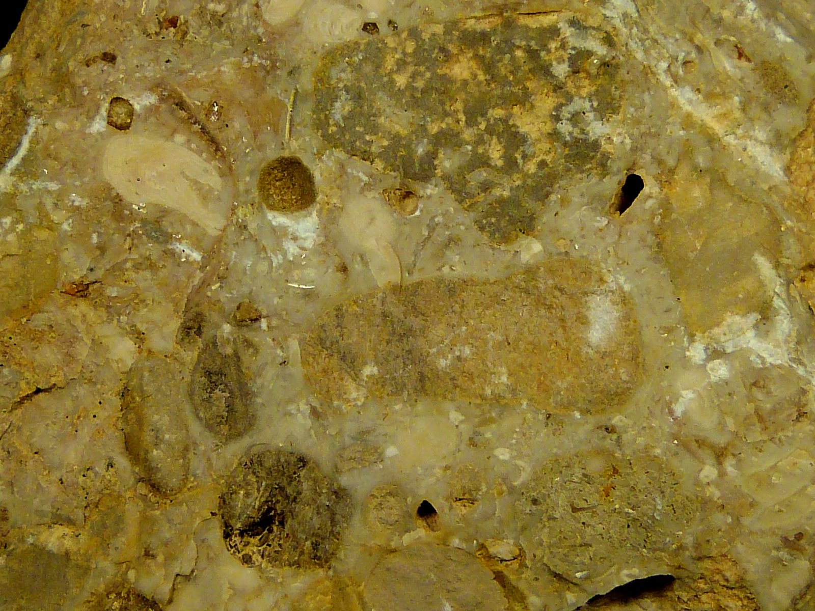 Conglomerado
9 x 6,5 x 3 cm.
(Autor: Felipe Abolafia)