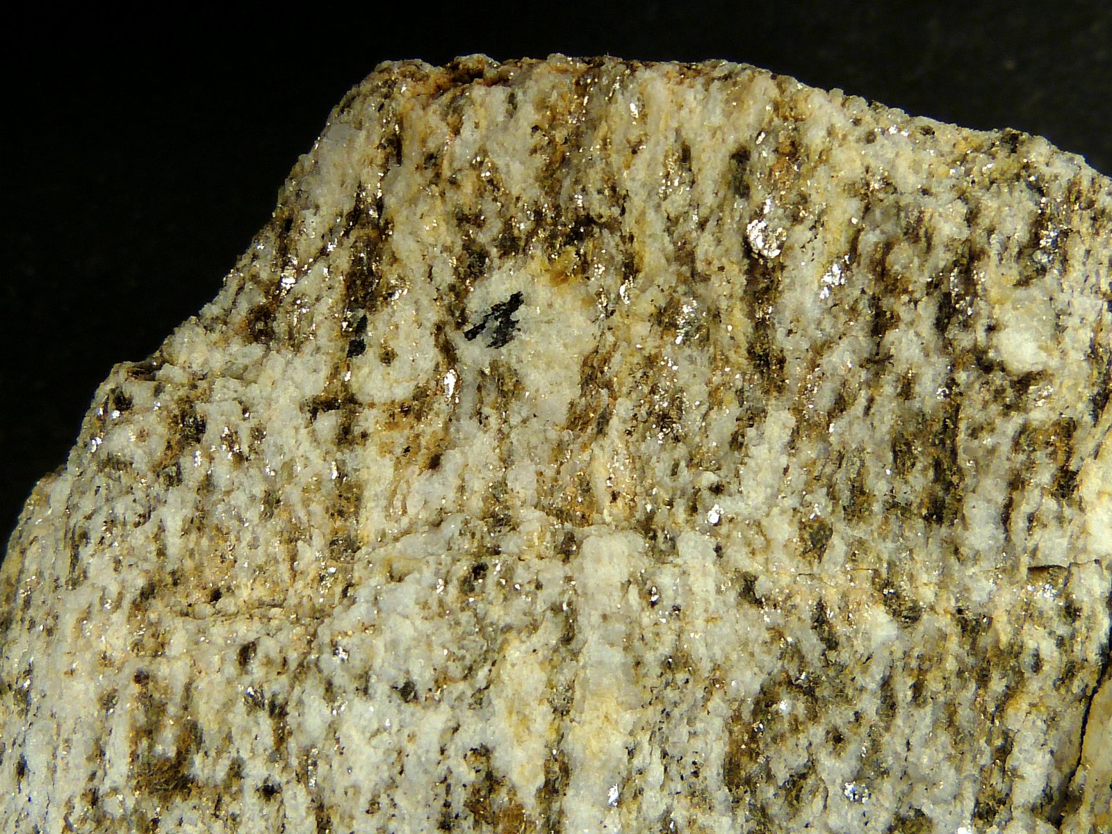 Gneis
8 x 8,5 x 2 cm.
(Autor: Felipe Abolafia)