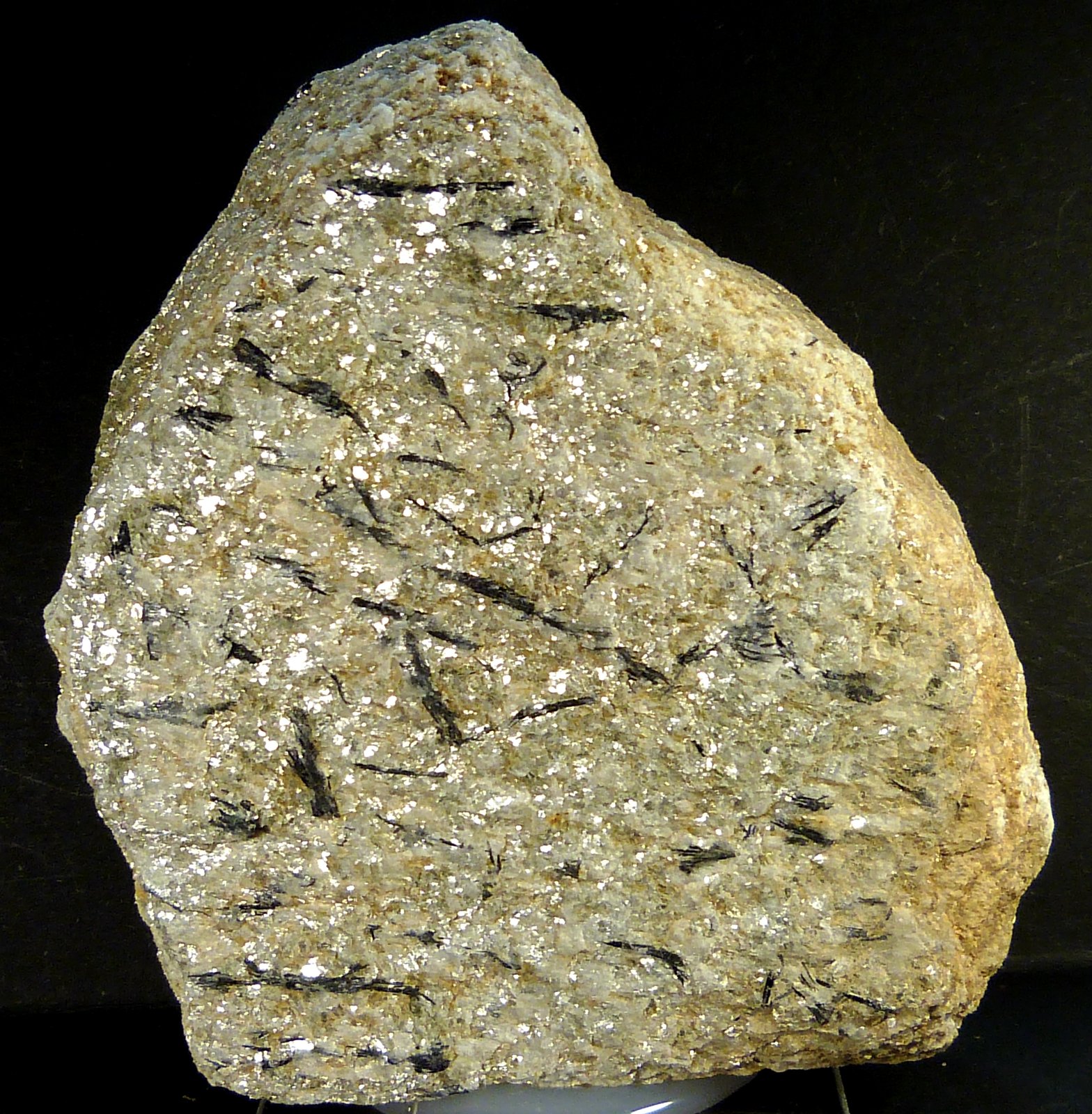 Micaesquisto con turmalina
8 x 8 x 3 cm.
(Autor: Felipe Abolafia)