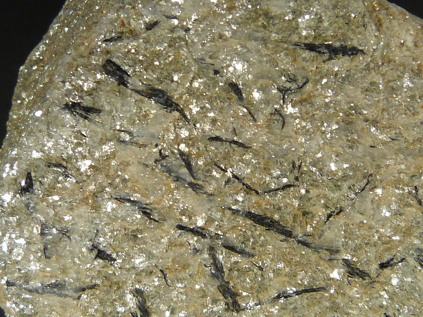 Micaesquisto con turmalina
8 x 8 x 3 cm.
(Autor: Felipe Abolafia)