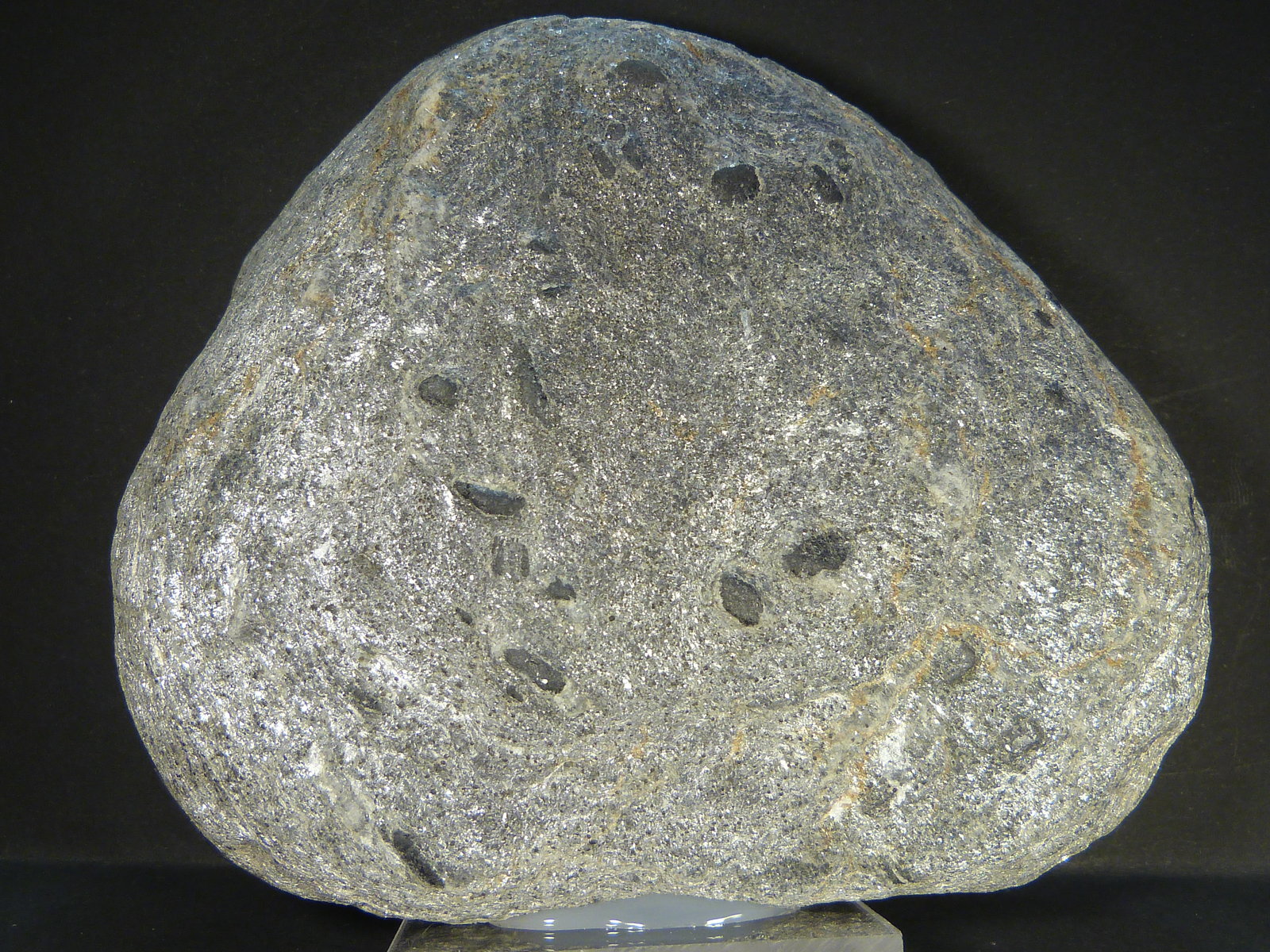 Esquisto con cloritoide
12 x 9 x 2 cm.
(Autor: Felipe Abolafia)