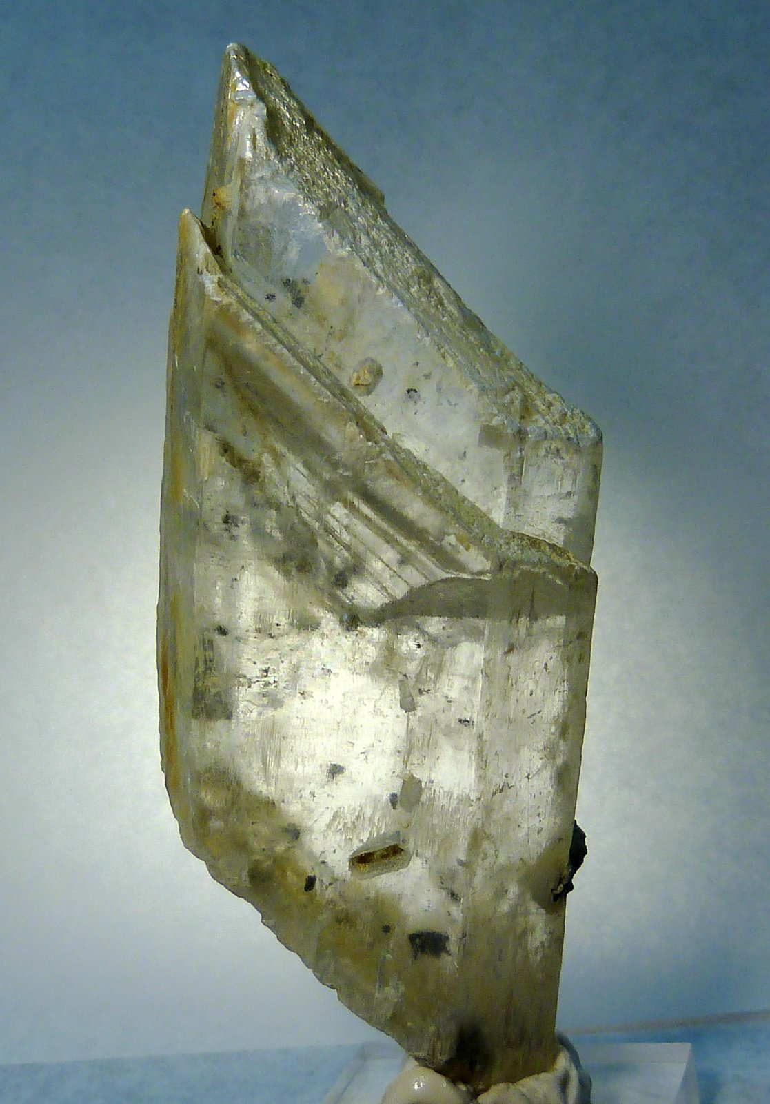 Yeso
8 x 3,5 x 2 cm.
(Autor: Felipe Abolafia)