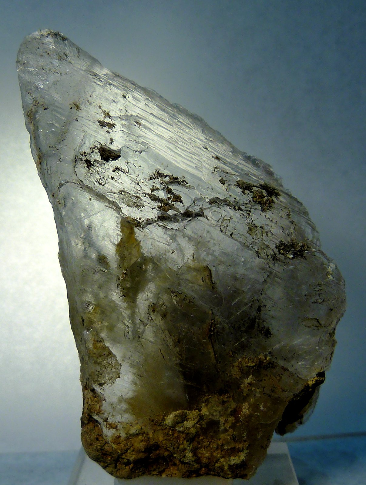 Yeso
6 x 3,5 x 2,5 cm.
(Autor: Felipe Abolafia)