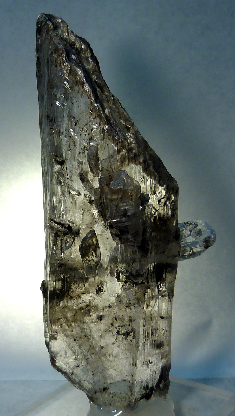 Yeso
9 x 3 x 2 cm.
(Autor: Felipe Abolafia)