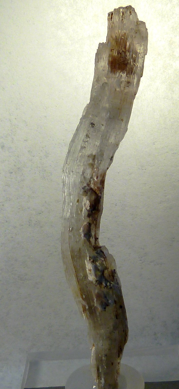 Yeso
6,5 x 1 x 1 cm.
(Autor: Felipe Abolafia)