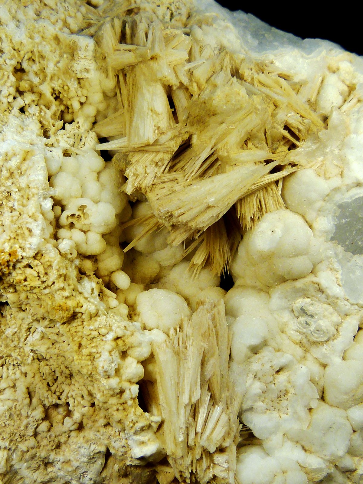 Celestina
Pieza 15 x 13 x 5 cm.
(Autor: Felipe Abolafia)