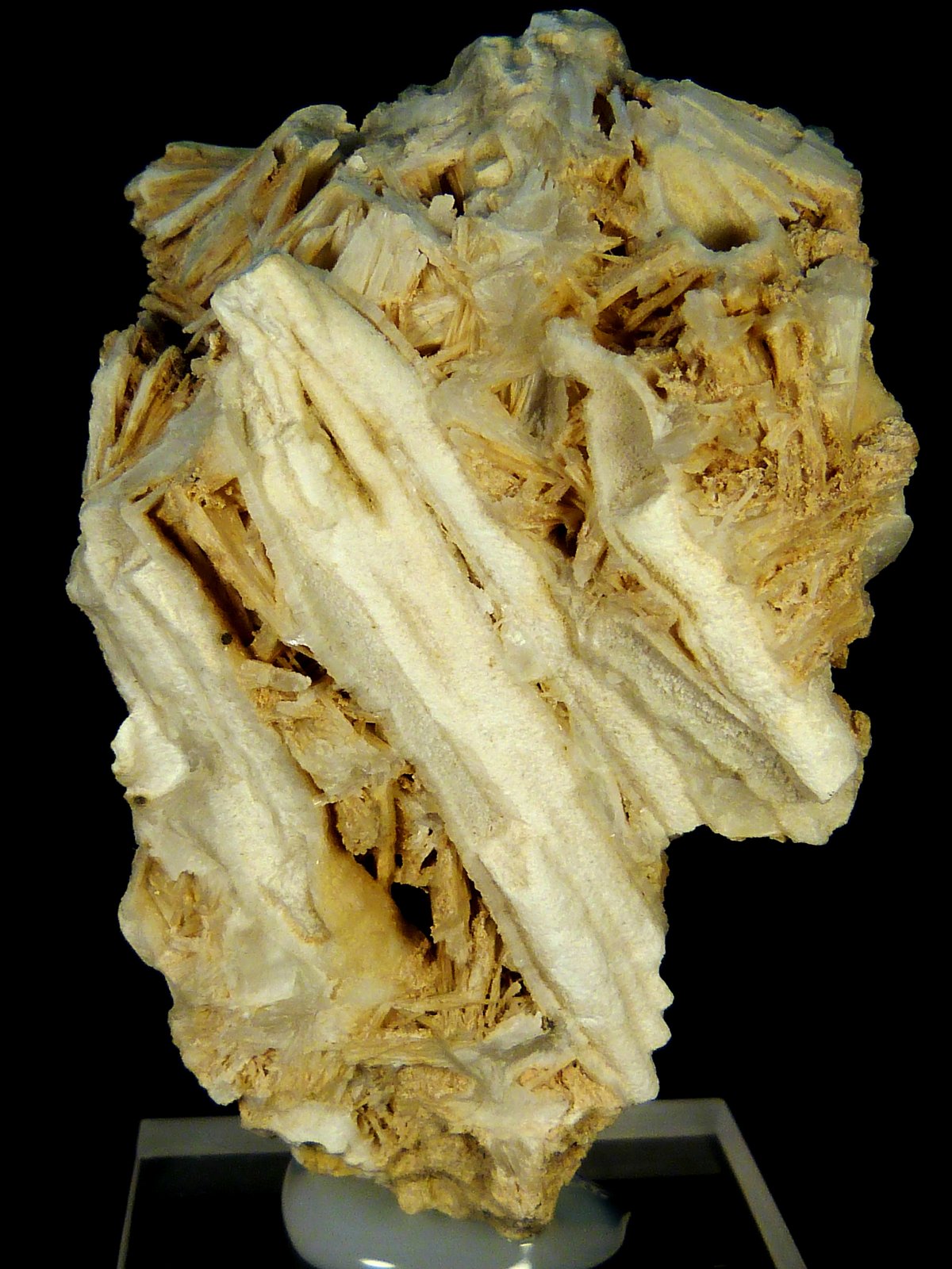 Celestina
5 x 7 x 5 cm.
(Autor: Felipe Abolafia)