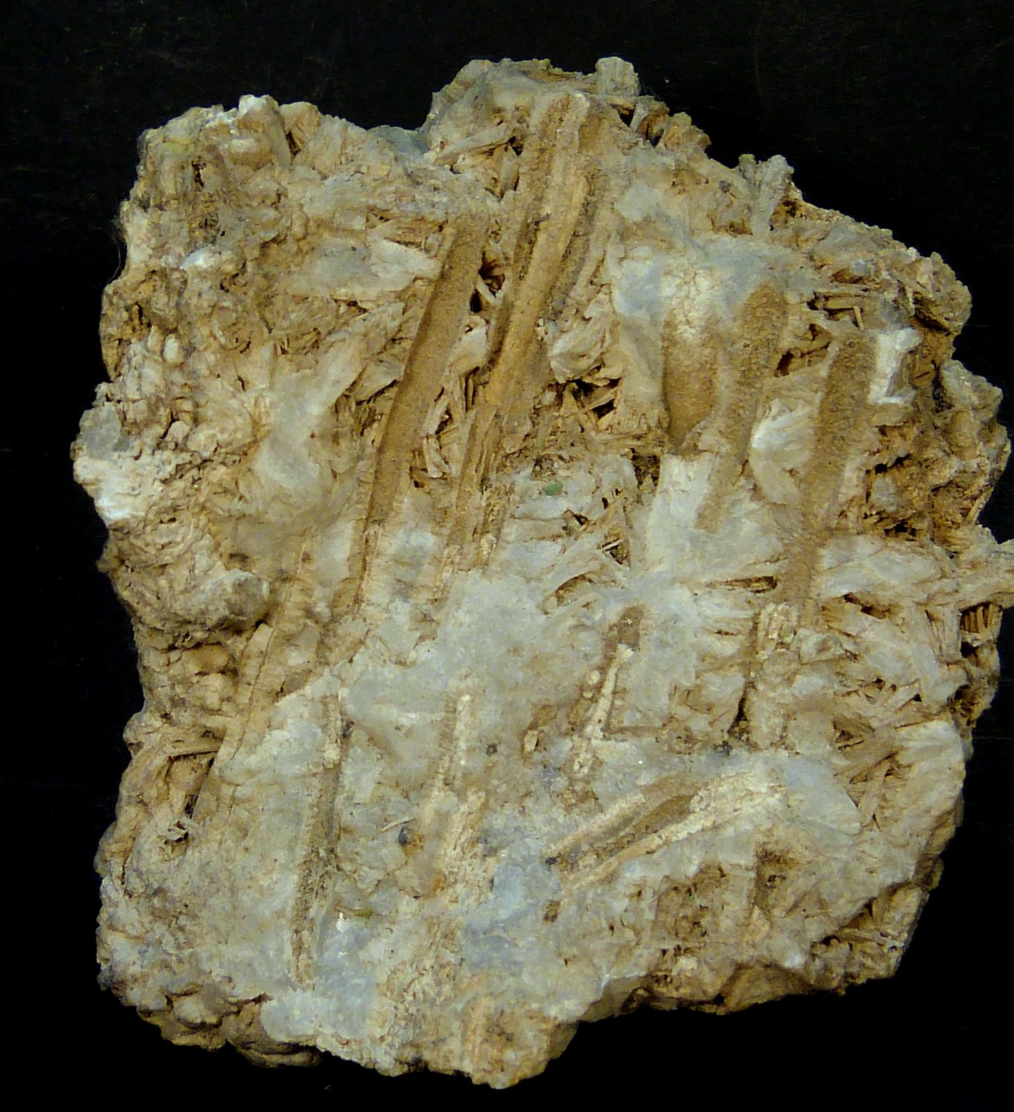 Celestina
7 x 8 x 5 cm.
(Autor: Felipe Abolafia)