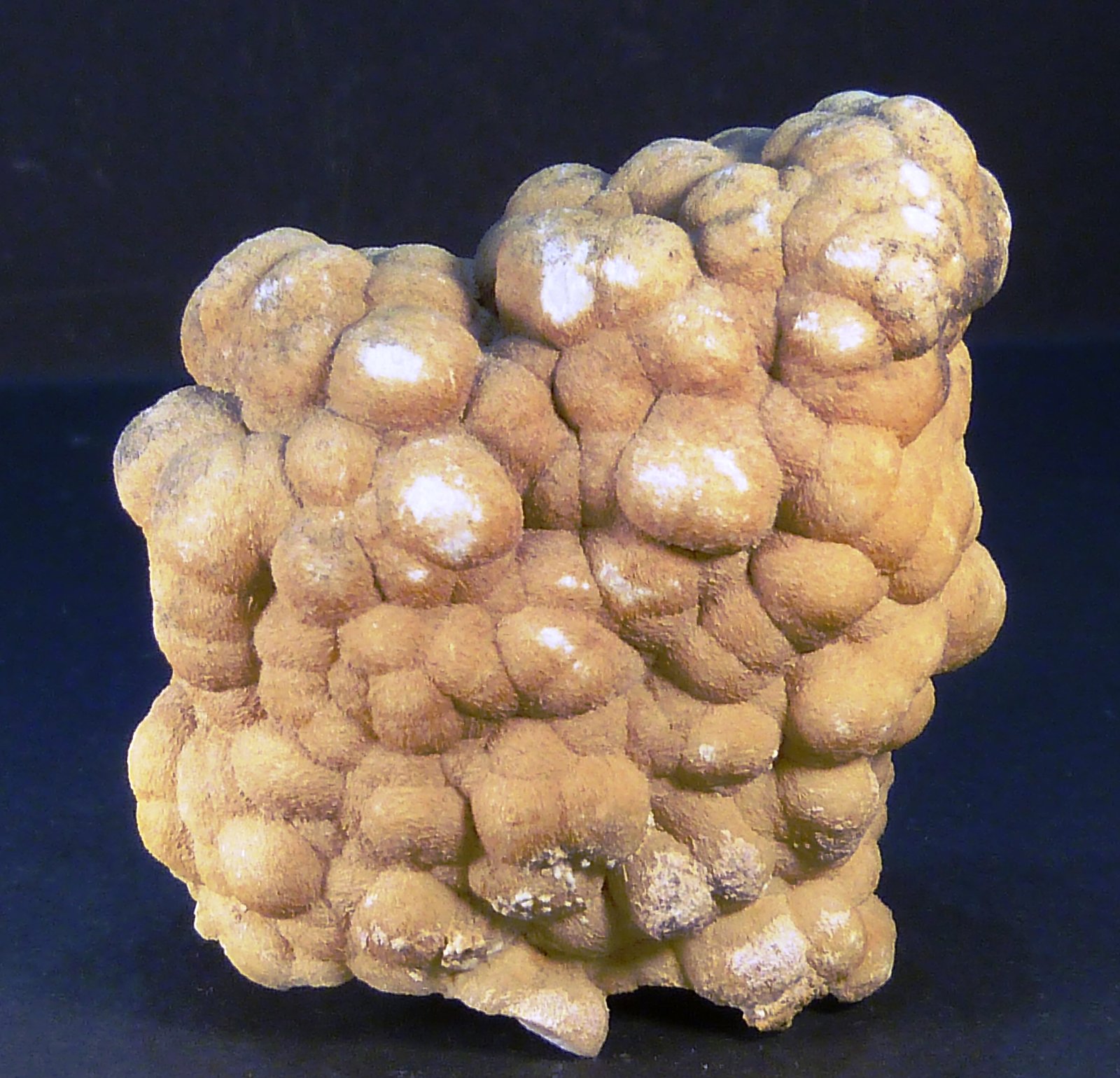 Celestina
5 x 5 x 3 cm.
(Autor: Felipe Abolafia)