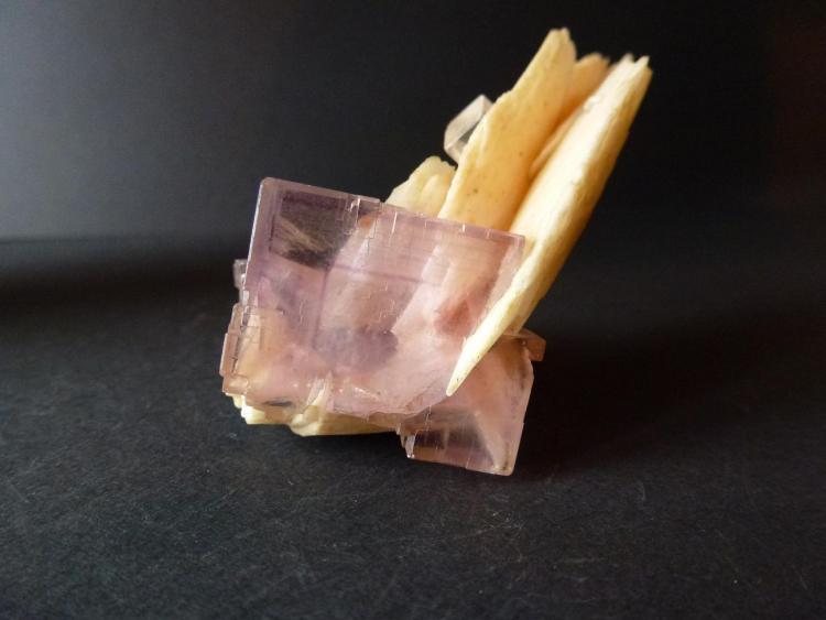Fluorita y Barita
6,5 x 2,5 cm.
(Autor: javier ruiz martin)