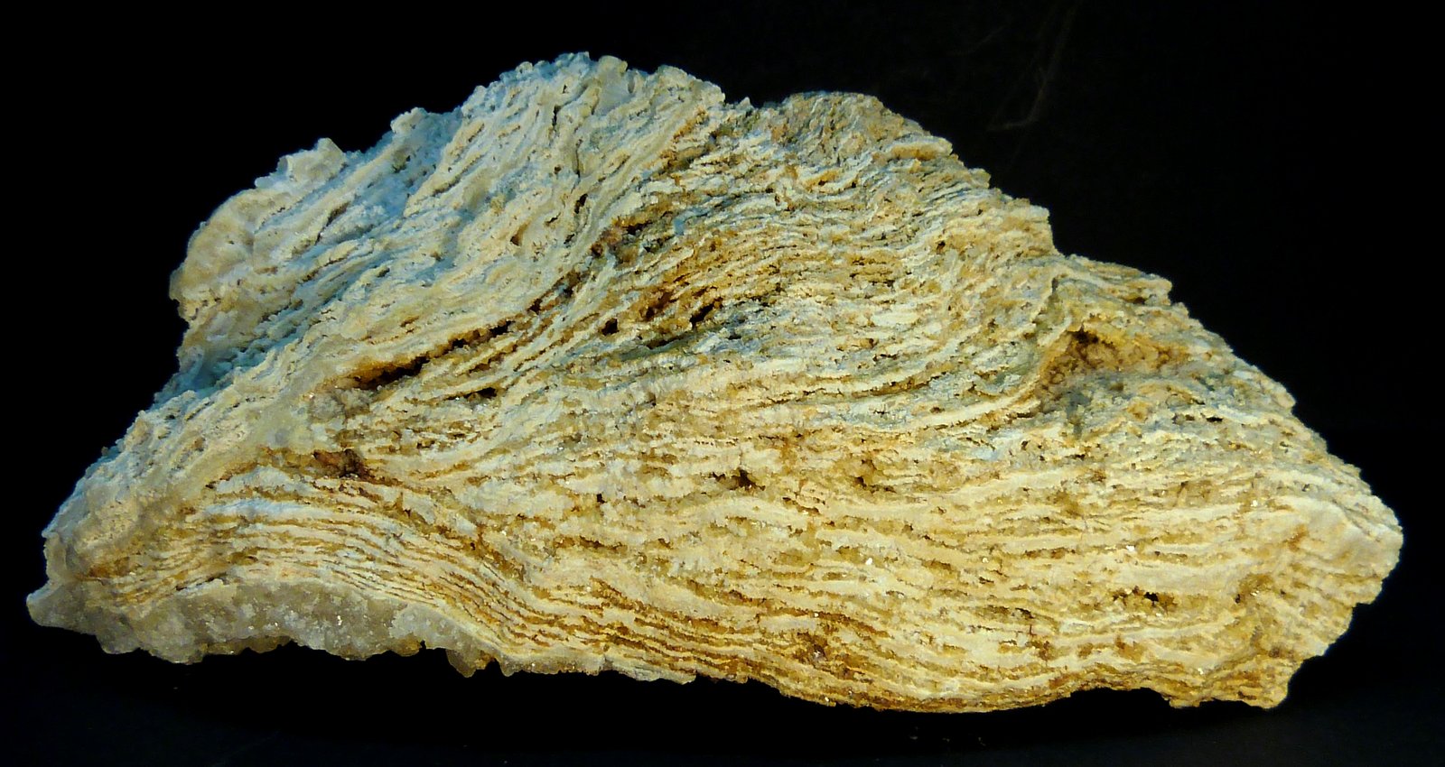 Celestina
14 x 7 x 5 cm.
(Autor: Felipe Abolafia)