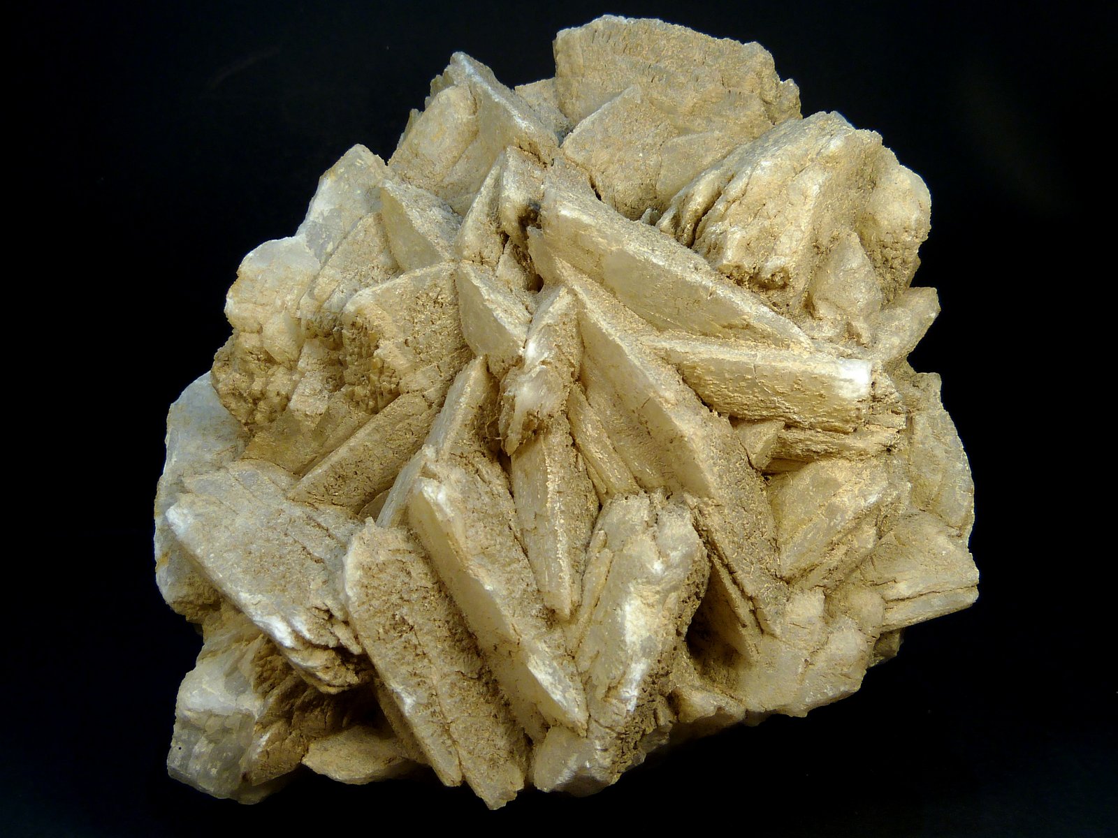 Celestina
12 x 12 x 10 cm.
(Autor: Felipe Abolafia)
