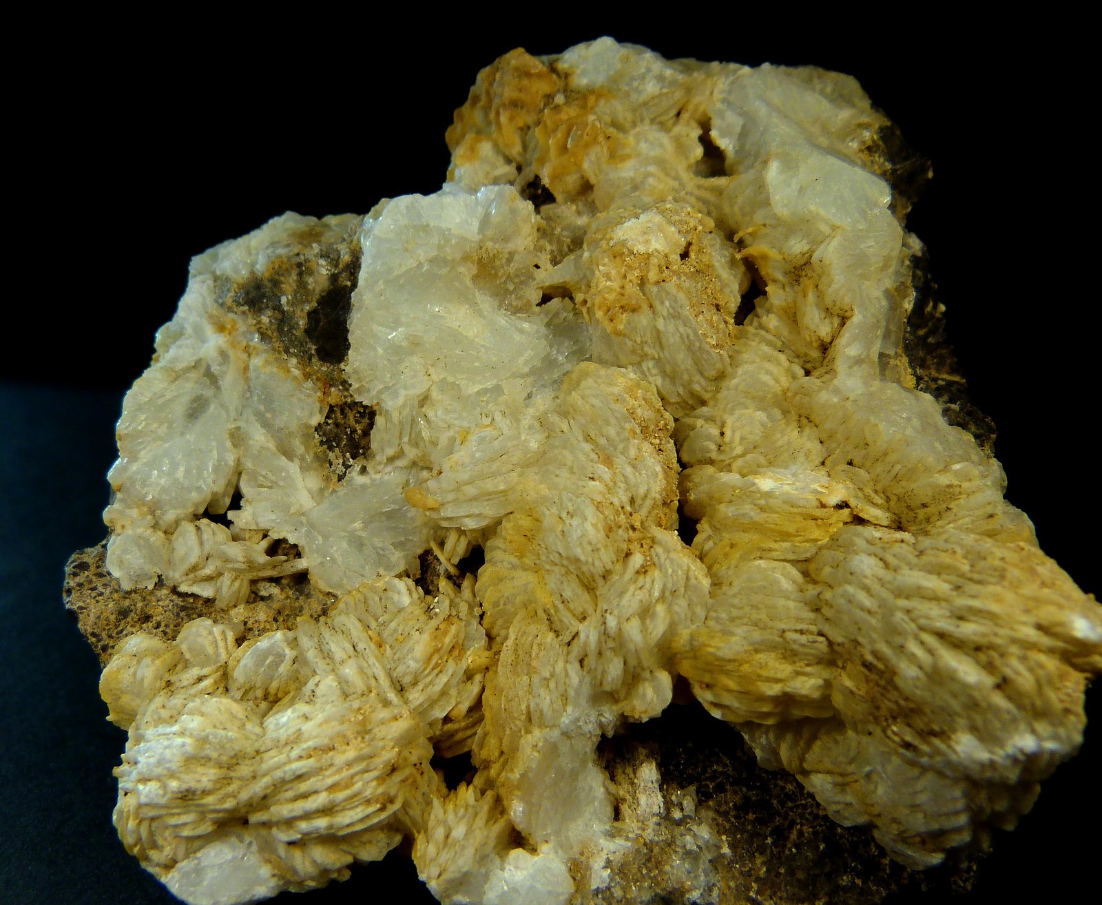 Celestina
6 x 6 x 5 cm.
(Autor: Felipe Abolafia)