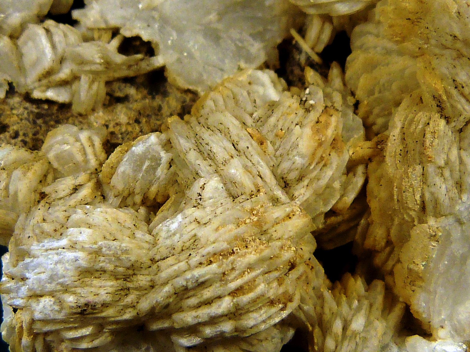 Celestina
6 x 6 x 5 cm.
(Autor: Felipe Abolafia)
