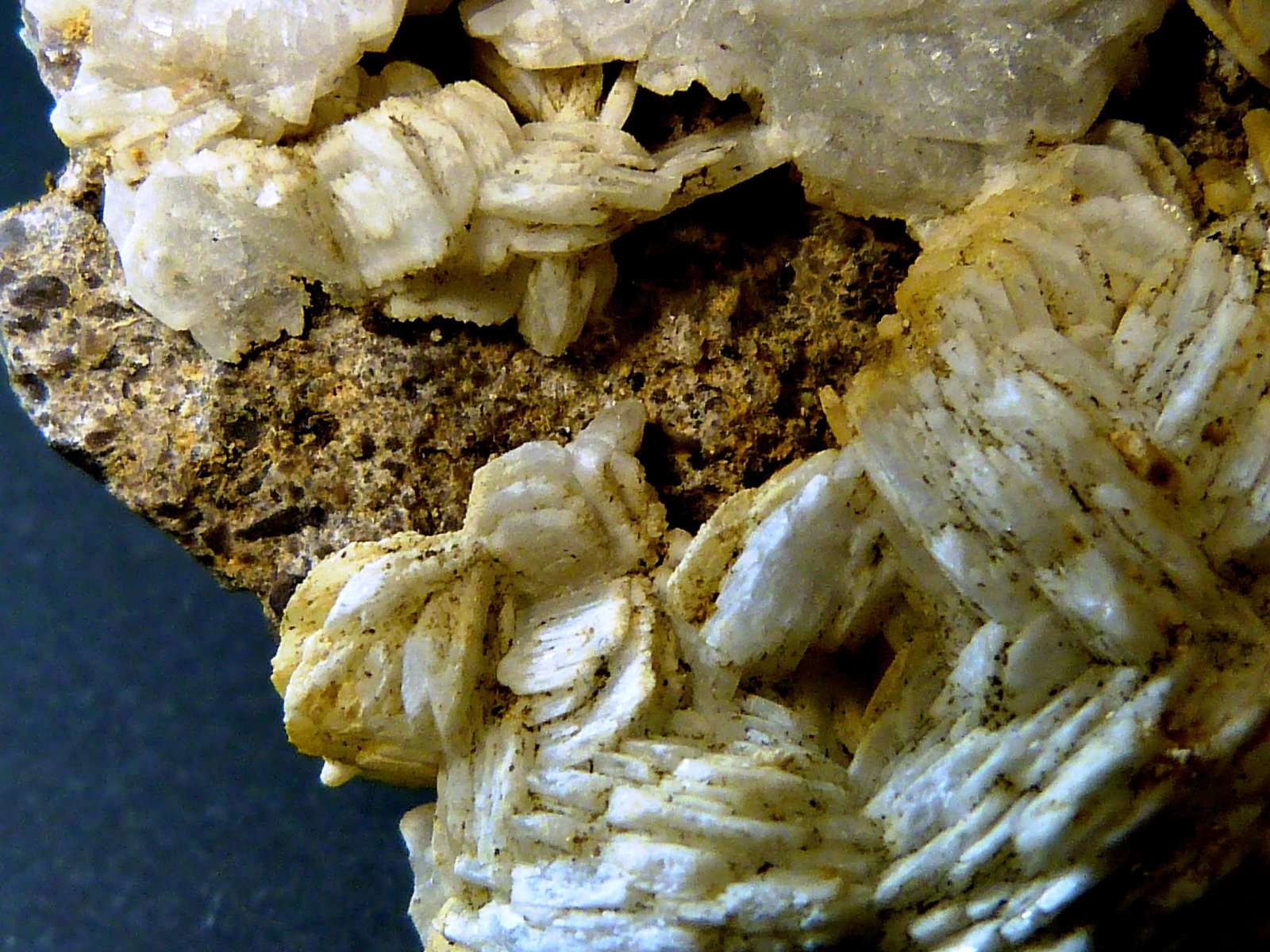 Celestina
6 x 6 x 5 cm.
(Autor: Felipe Abolafia)