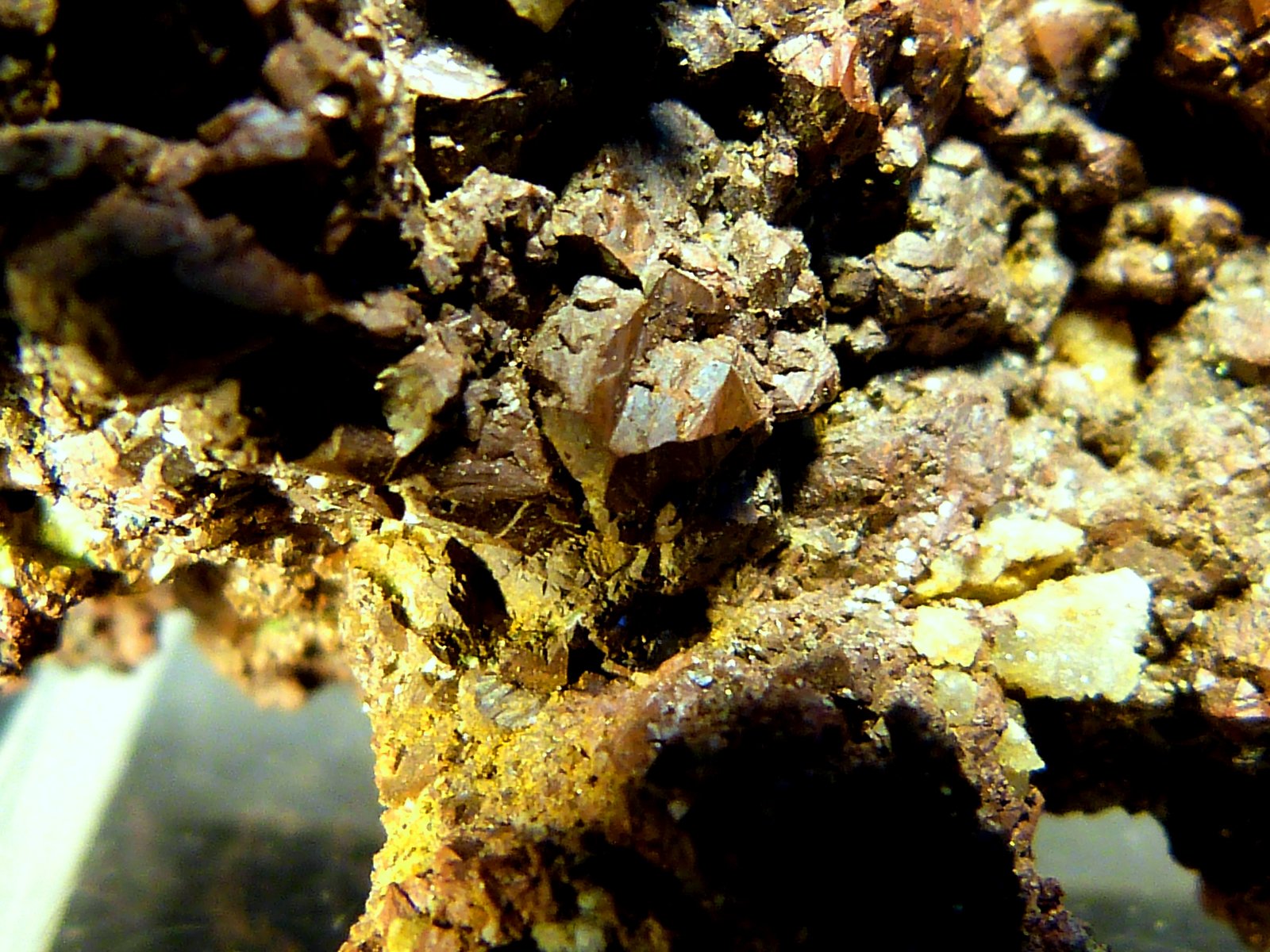 Cobre
7 x 3,5 x 2,5 cm.
(Autor: Felipe Abolafia)
