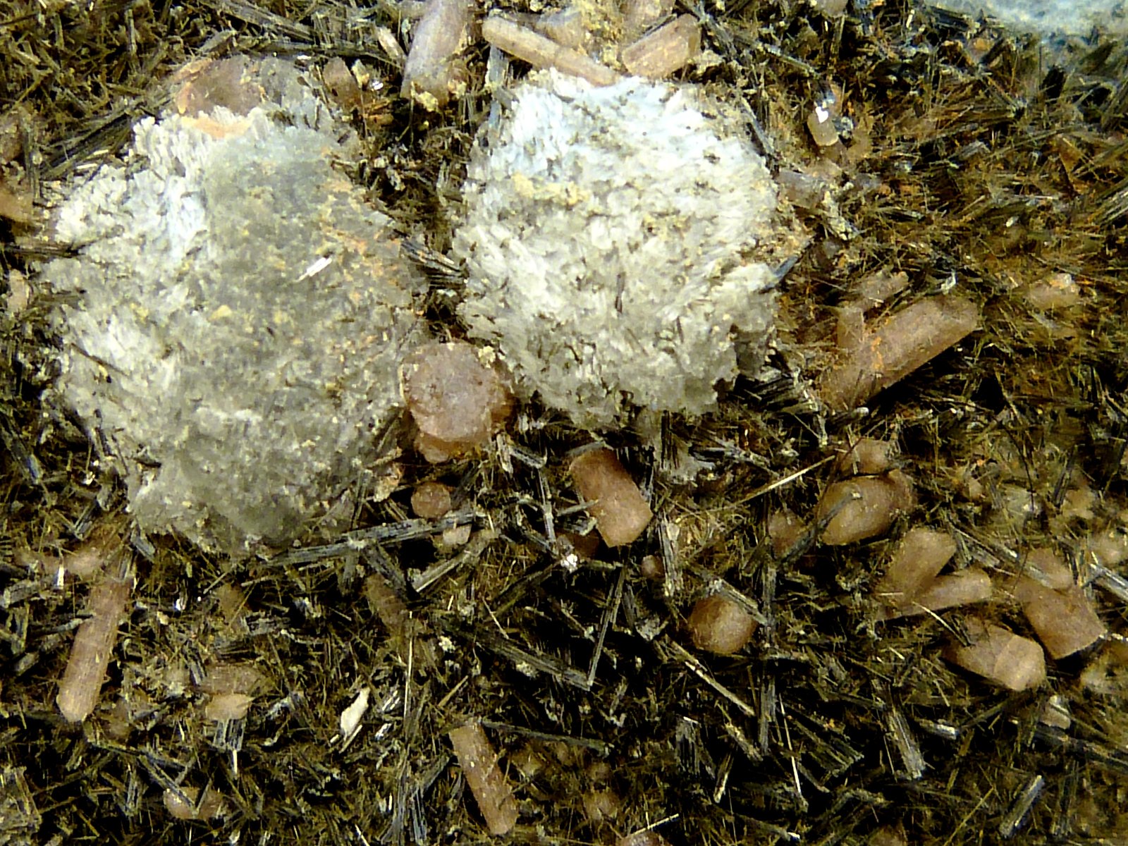 Prehnita, Actinolita y Fluorapatito
14 x 8 x 2 cm.
(Autor: Felipe Abolafia)