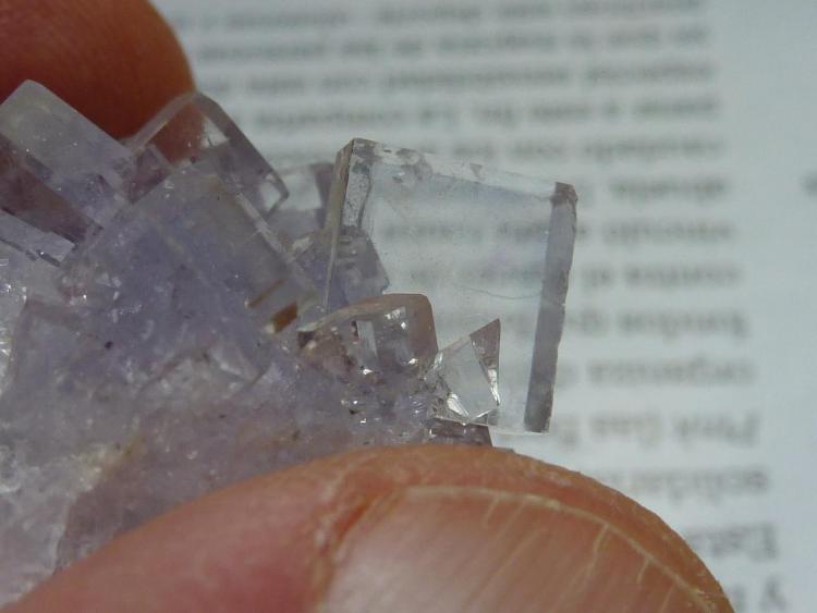 Fluorita
4 x 3 cm.
(Autor: javier ruiz martin)