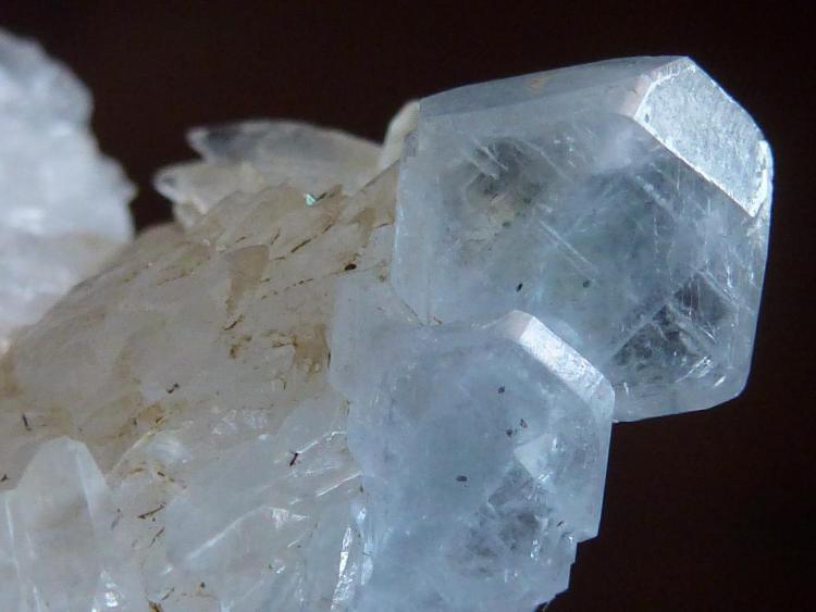 Celestina y Calcita
Cristal: 1 x 0,4 cm.
(Autor: javier ruiz martin)