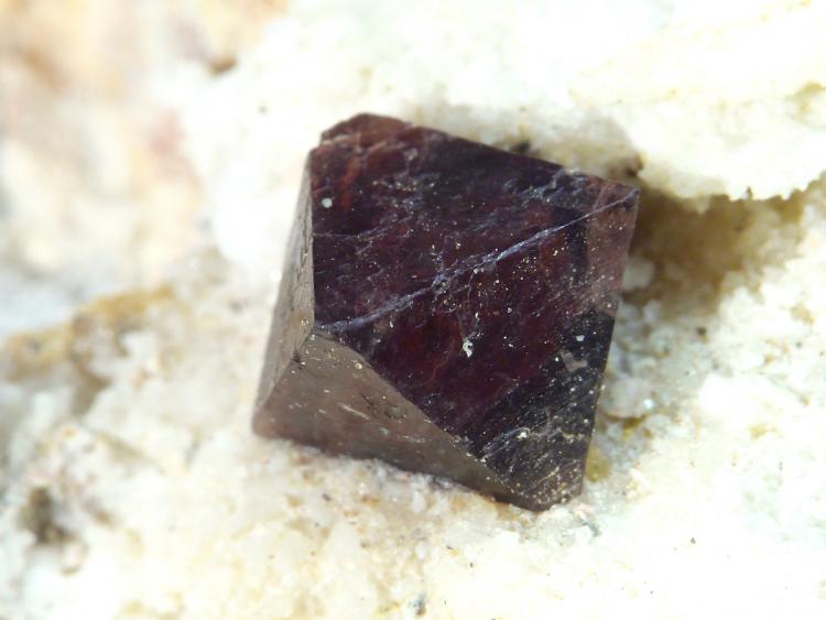 (Autor: El Coleccionista)