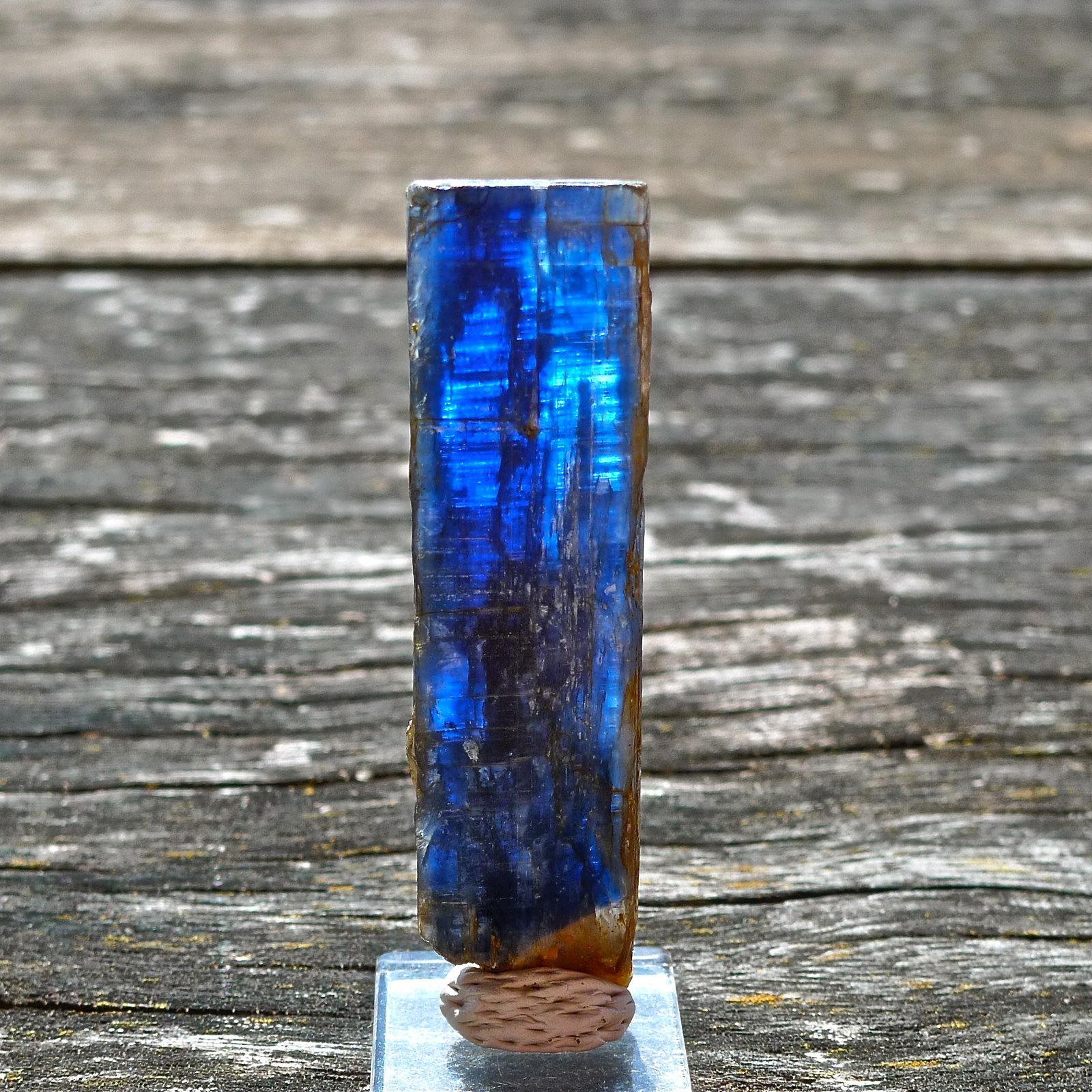 Cianita
7 x 2 x 0,7 cm
(Autor: Josele)