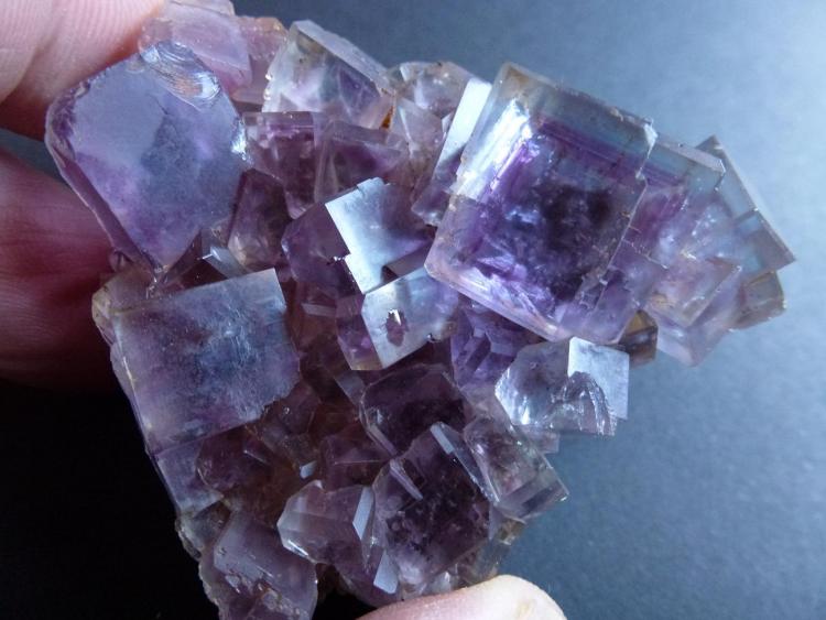 Fluorita
5 x 5 cm.
(Autor: javier ruiz martin)