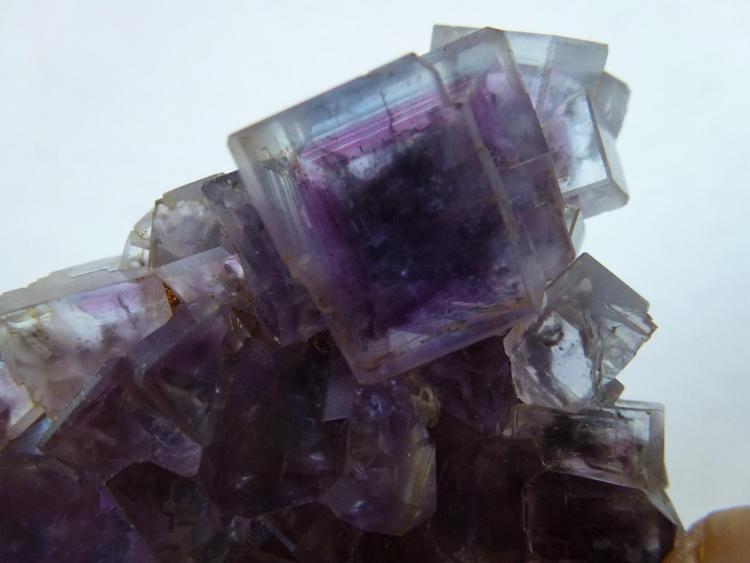Fluorita
5 x 5 cm.
(Autor: javier ruiz martin)