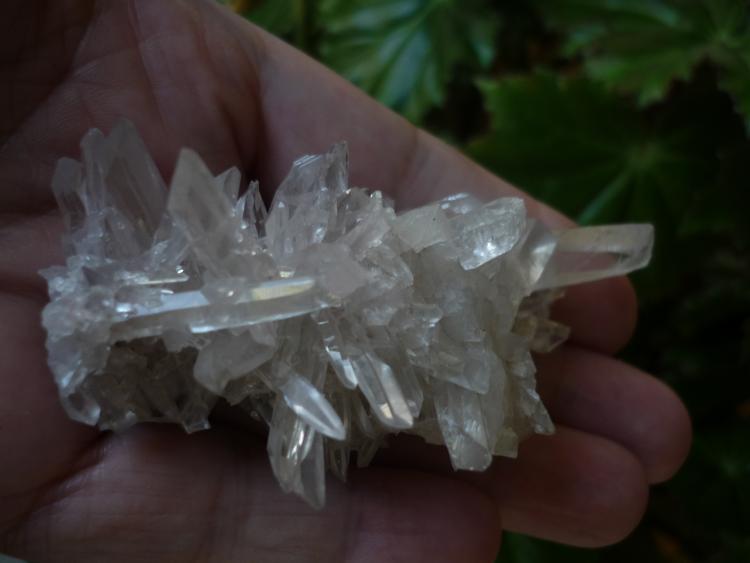 Cuarzo
8,3 cm x 4 cm x 3,5 cm
(Autor: Tomas Ruiz de Arbulo Saez)