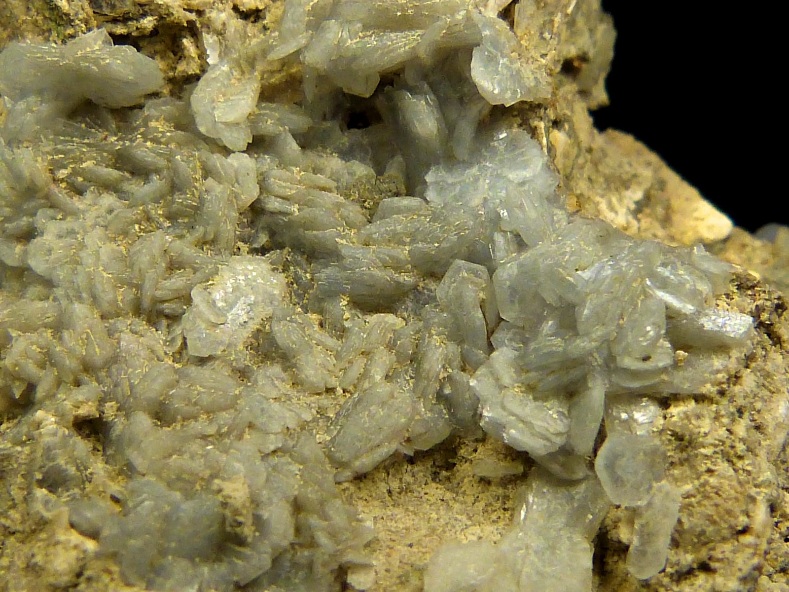 Celestina
7 x 5 x 5,5 cm.
(Autor: Felipe Abolafia)