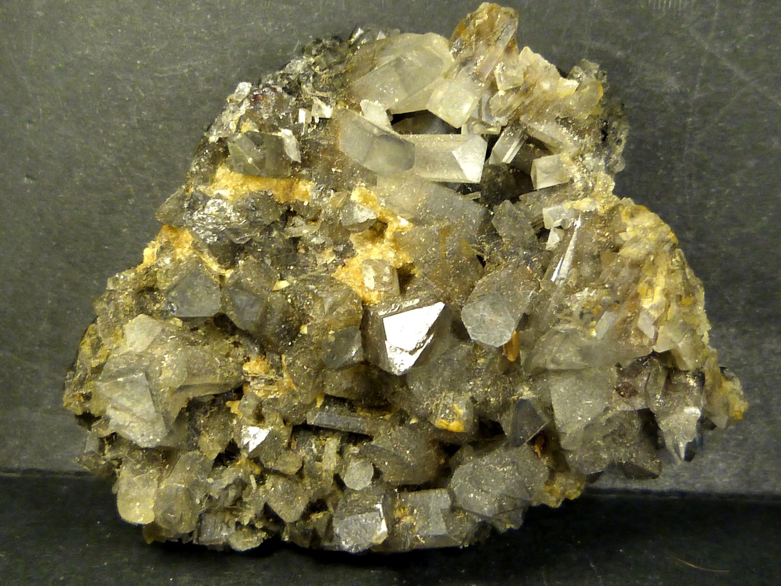 Celestina
5,5 x 5 x 3 cm.
(Autor: Felipe Abolafia)