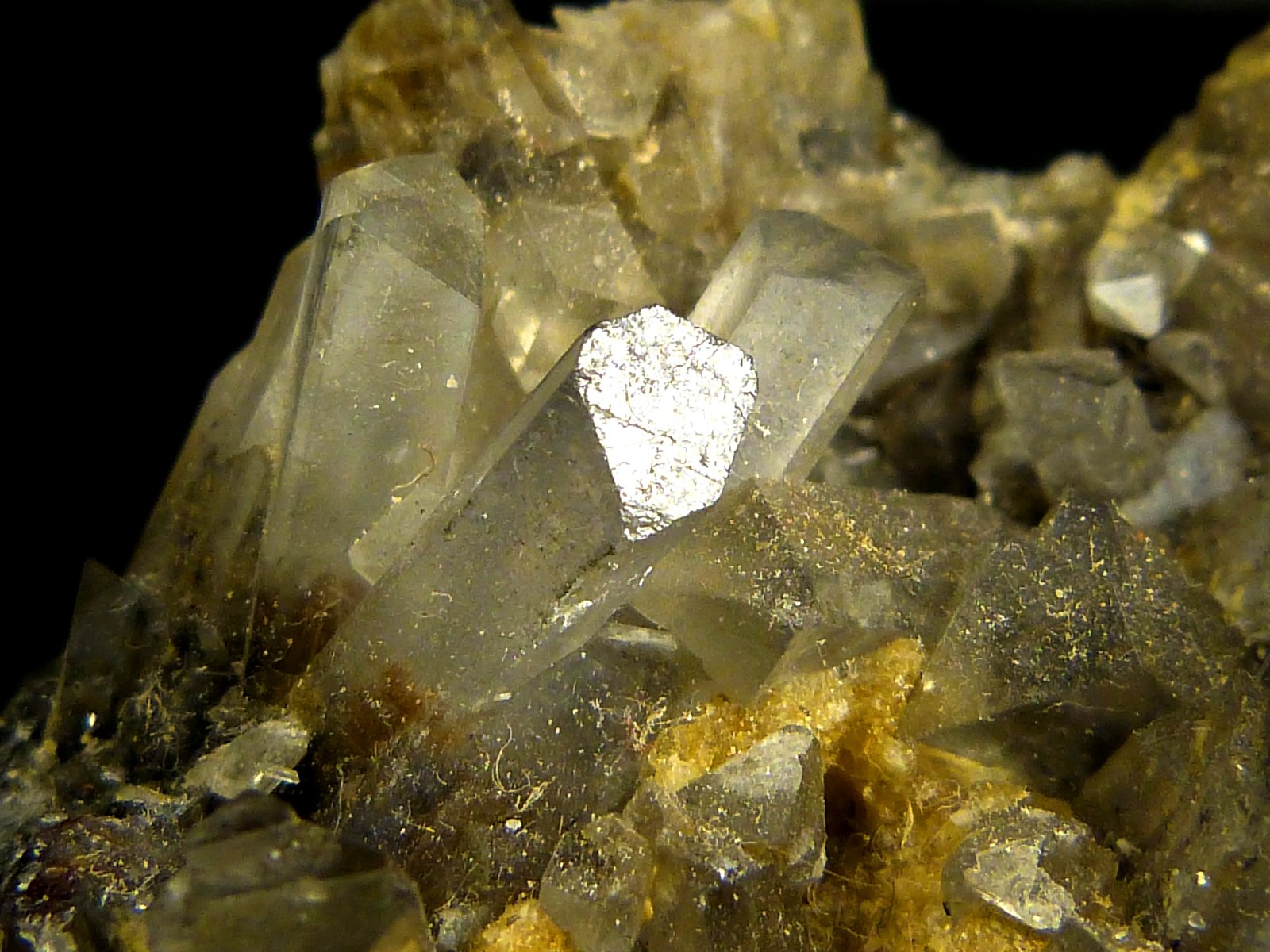 Celestina
5,5 x 5 x 3 cm.
(Autor: Felipe Abolafia)