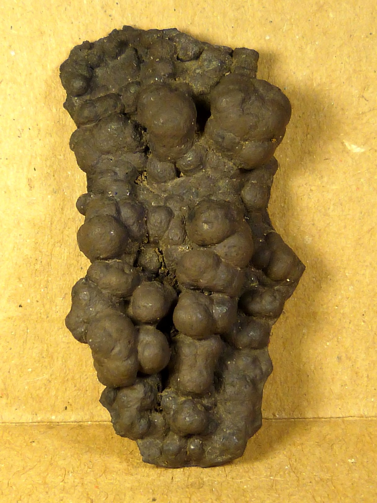 Goethita
4 x 2 x 1 cm.
(Autor: Felipe Abolafia)