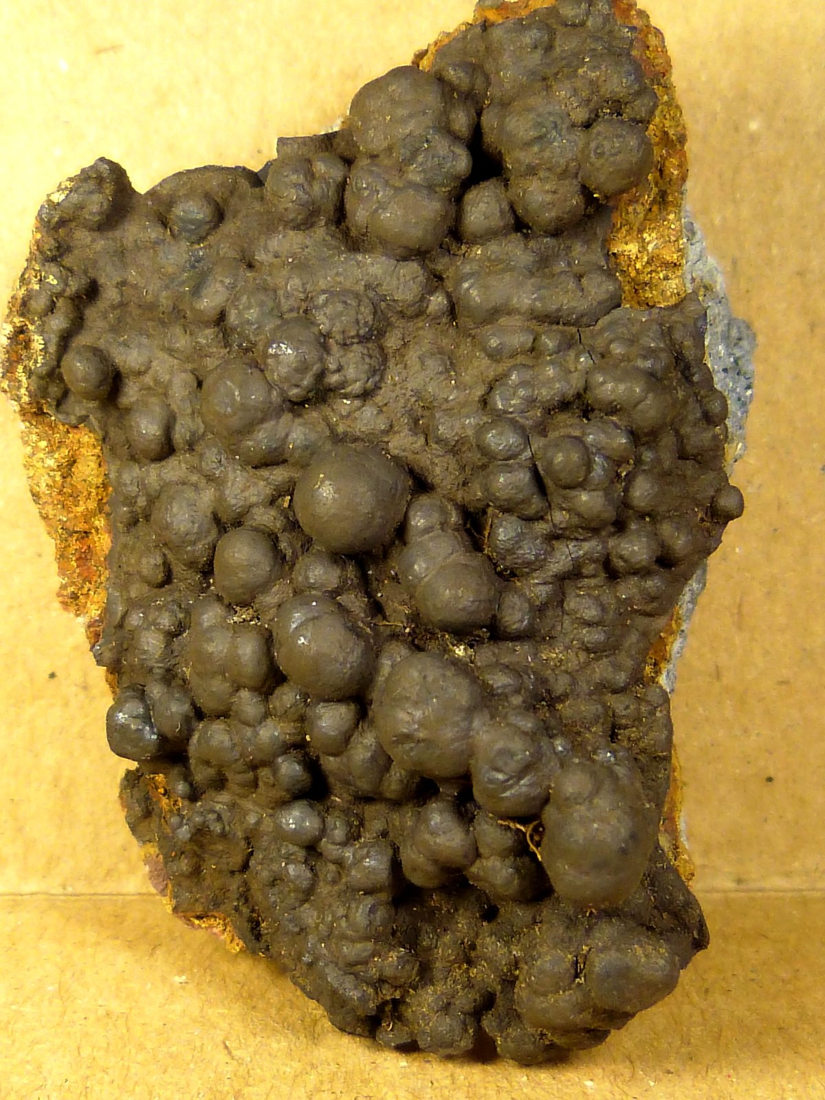Goethita
4,5 x 3 x 2 cm.
(Autor: Felipe Abolafia)