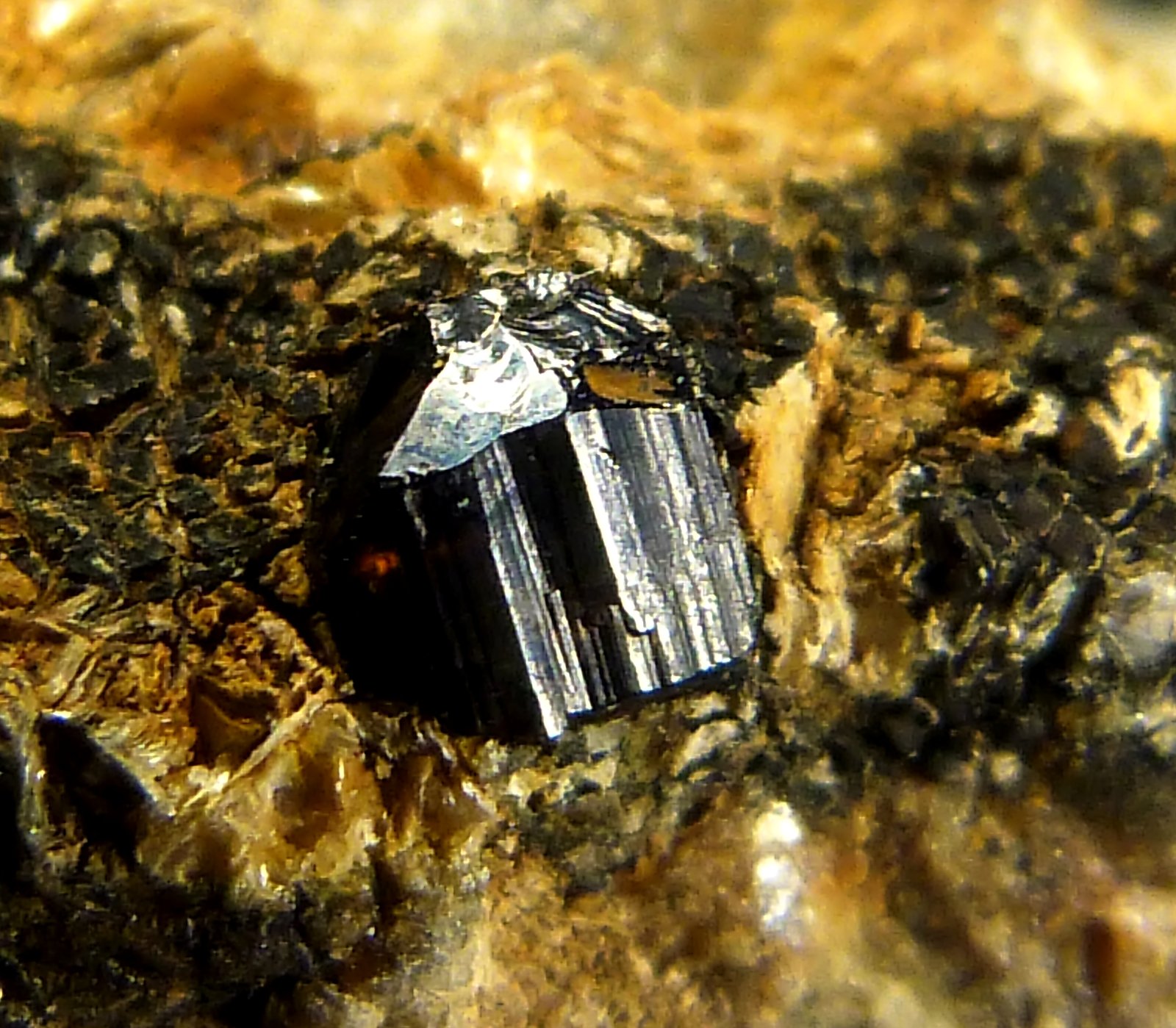Casiterita
Xl. de 4 x 4 x 2 mm.
(Autor: Felipe Abolafia)