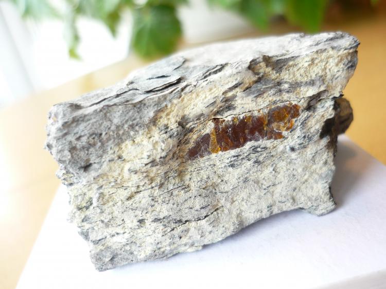 Ámbar
2 x 0,5 cm. el ámbar
(Autor: Tomas Ruiz de Arbulo Saez)