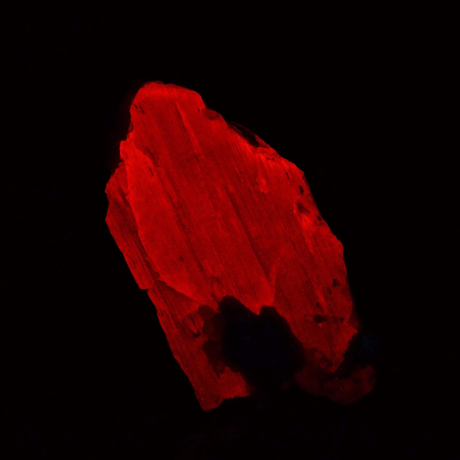 Espodumena
10 x 5 x 2,5 cm
(Autor: Josele)