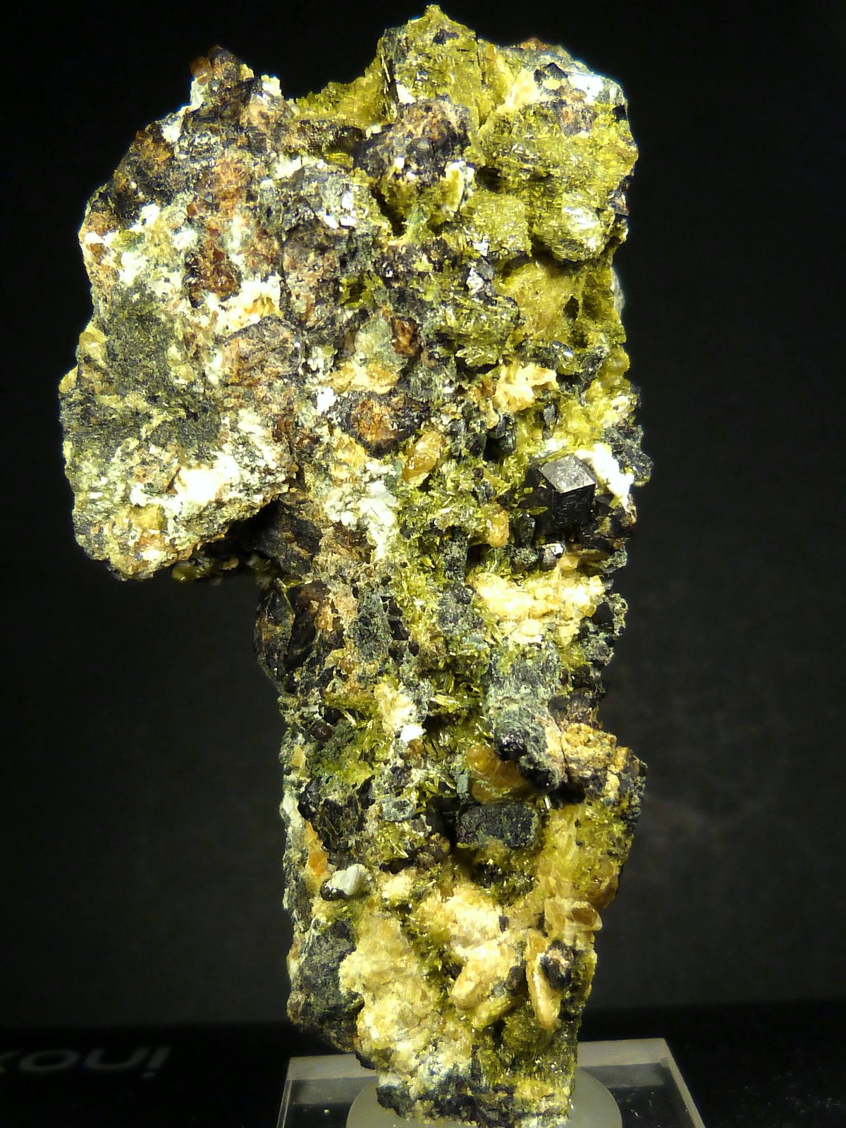 Epidota y Andradita (variedad melanito)
7 x 4 cm.
(Autor: Felipe Abolafia)