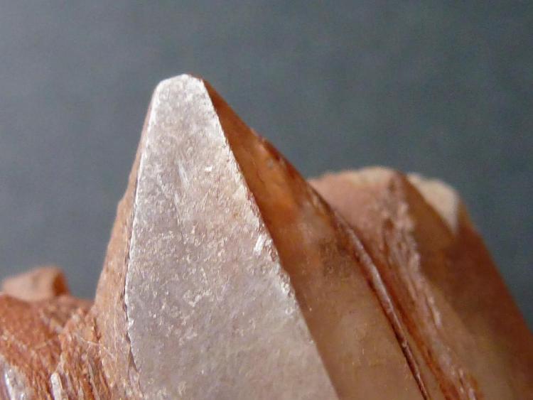 Aragonito
3,5 x 1,5 cm.
(Autor: javier ruiz martin)