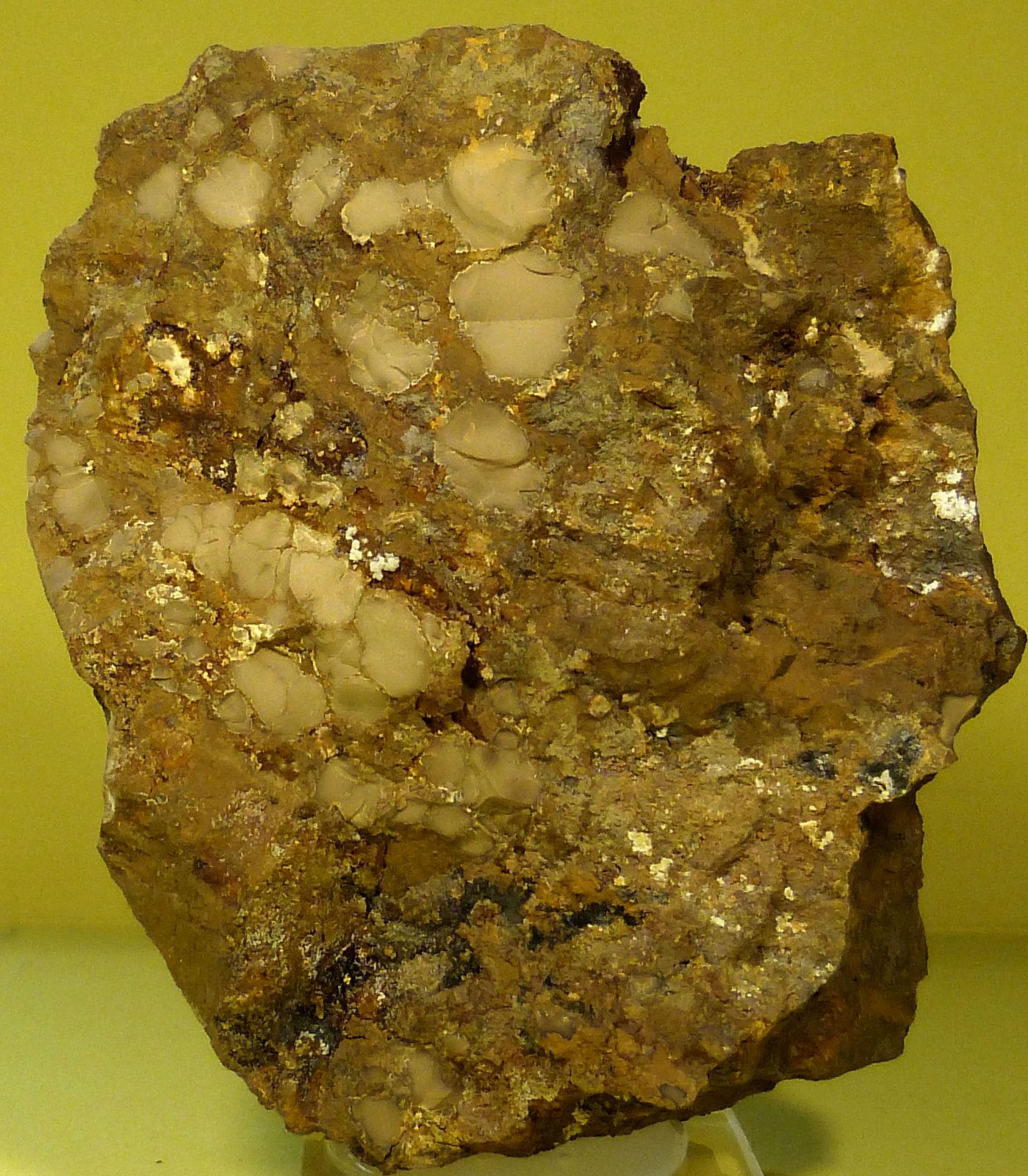 Tinticita
8 x 6,5 x 3 cm.
(Autor: Felipe Abolafia)