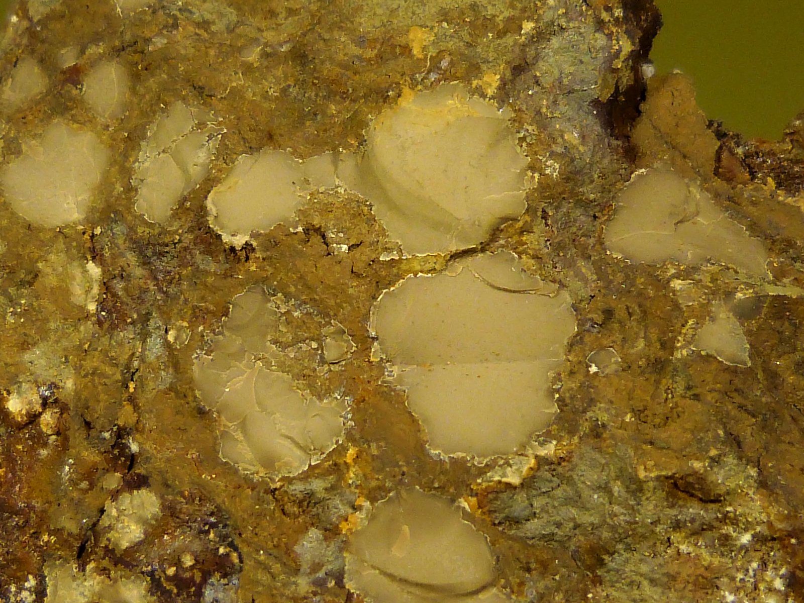 Tinticita
8 x 6,5 x 3 cm.
(Autor: Felipe Abolafia)
