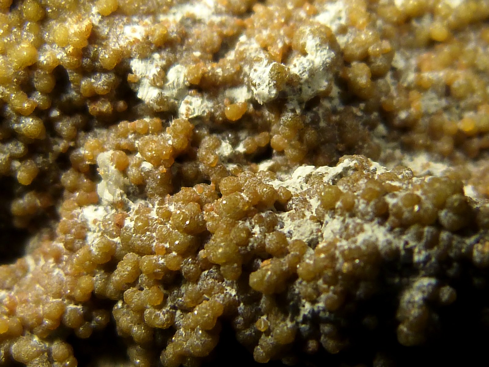 Siderita (variedad sideroplesita) con Barita
6 x 6 x 5 cm.
(Autor: Felipe Abolafia)
