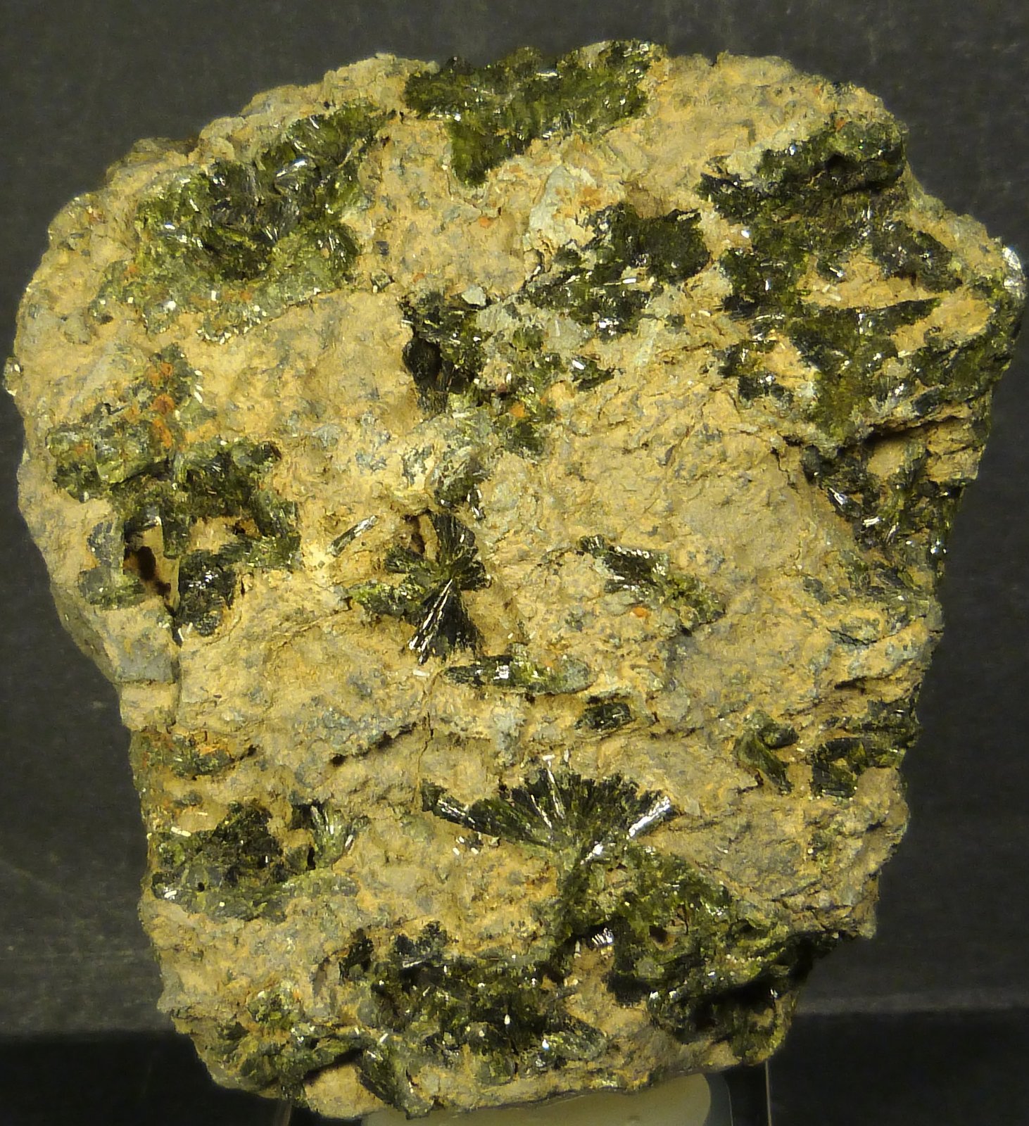 Epidota
9 x 7 x 3 cm.
(Autor: Felipe Abolafia)