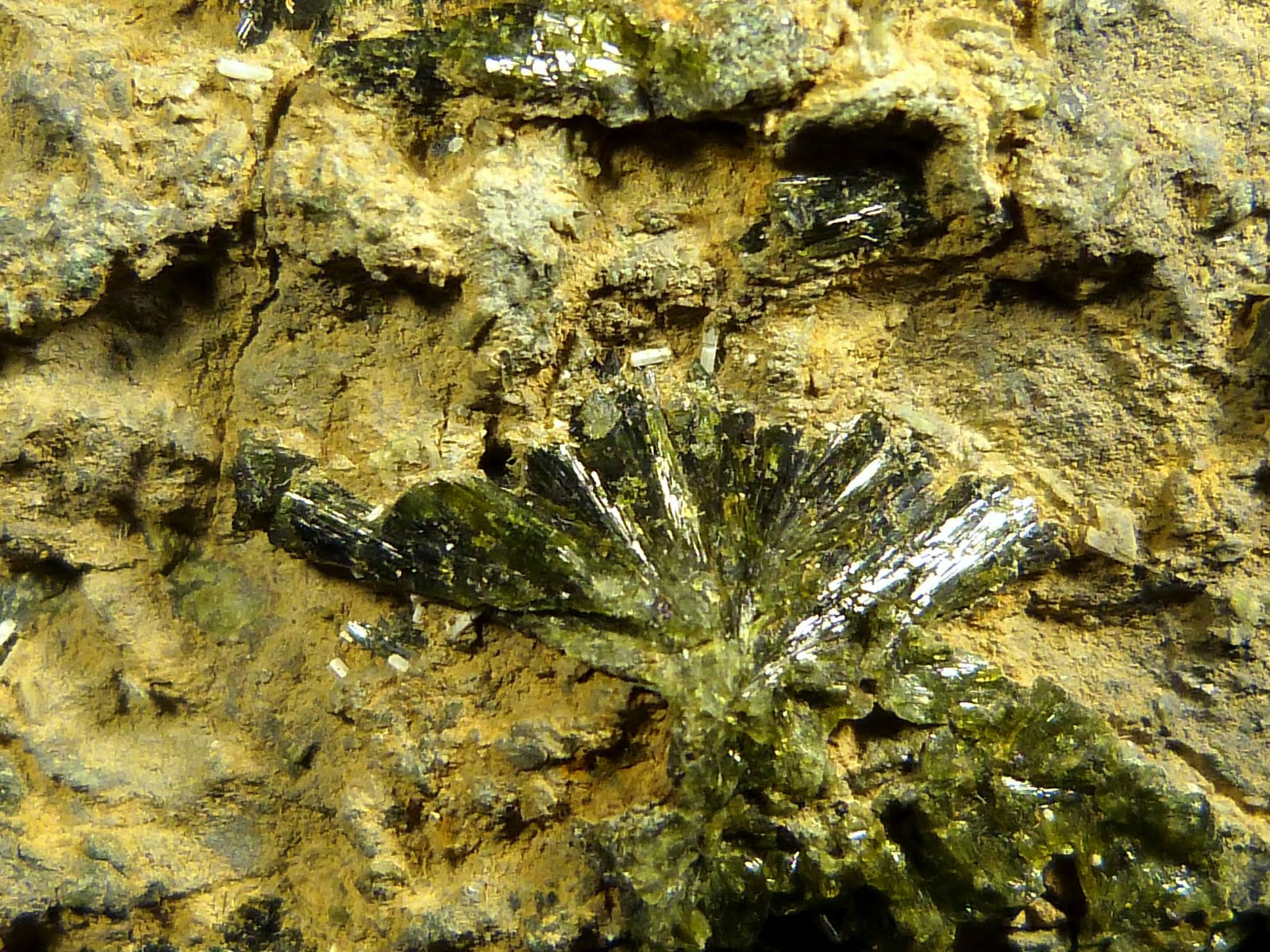 Epidota
9 x 7 x 3 cm.
(Autor: Felipe Abolafia)