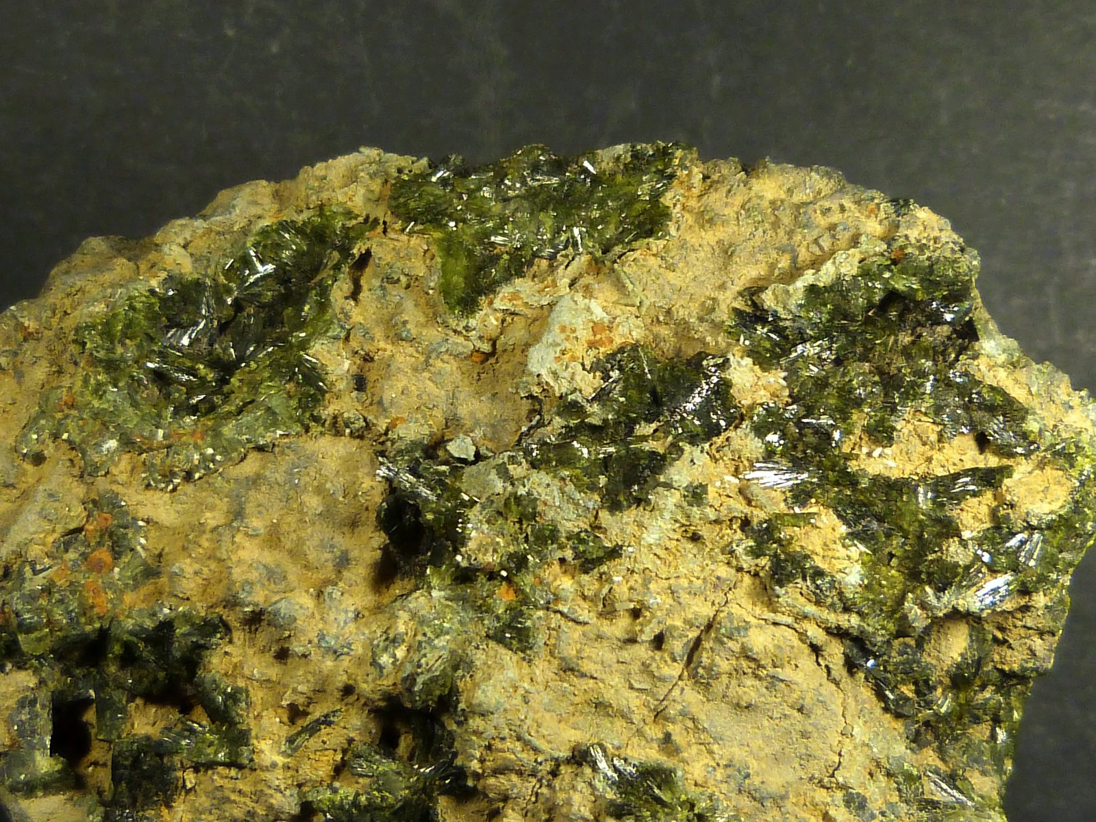 Epidota
9 x 7 x 3 cm.
(Autor: Felipe Abolafia)