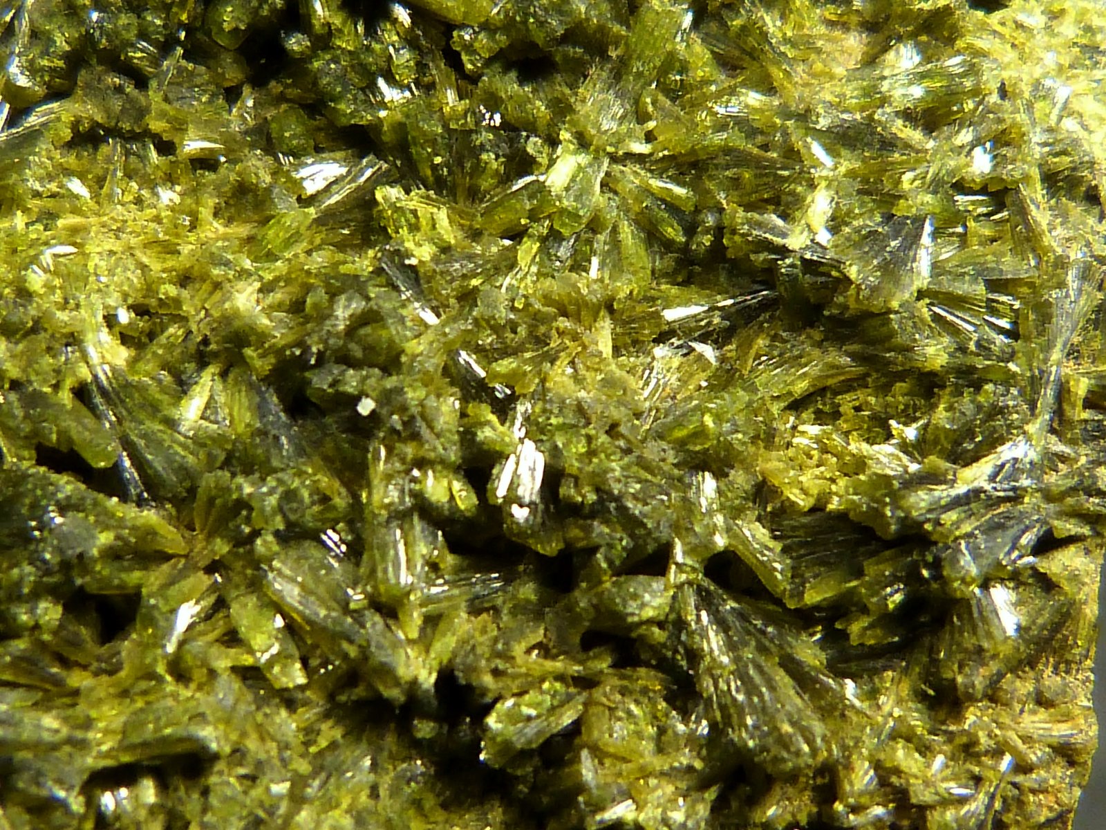 Epidota
6,5 x 4 x 2 cm.
(Autor: Felipe Abolafia)