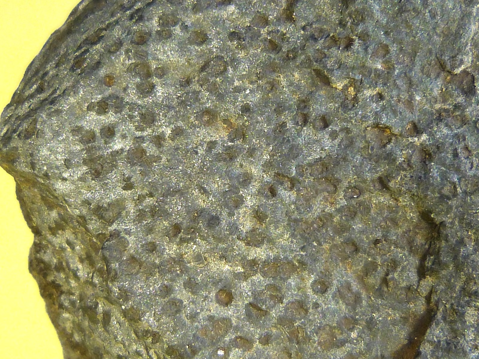 Corneana con cristales de cordierita
13 x 7 x 2,5 cm.
(Autor: Felipe Abolafia)