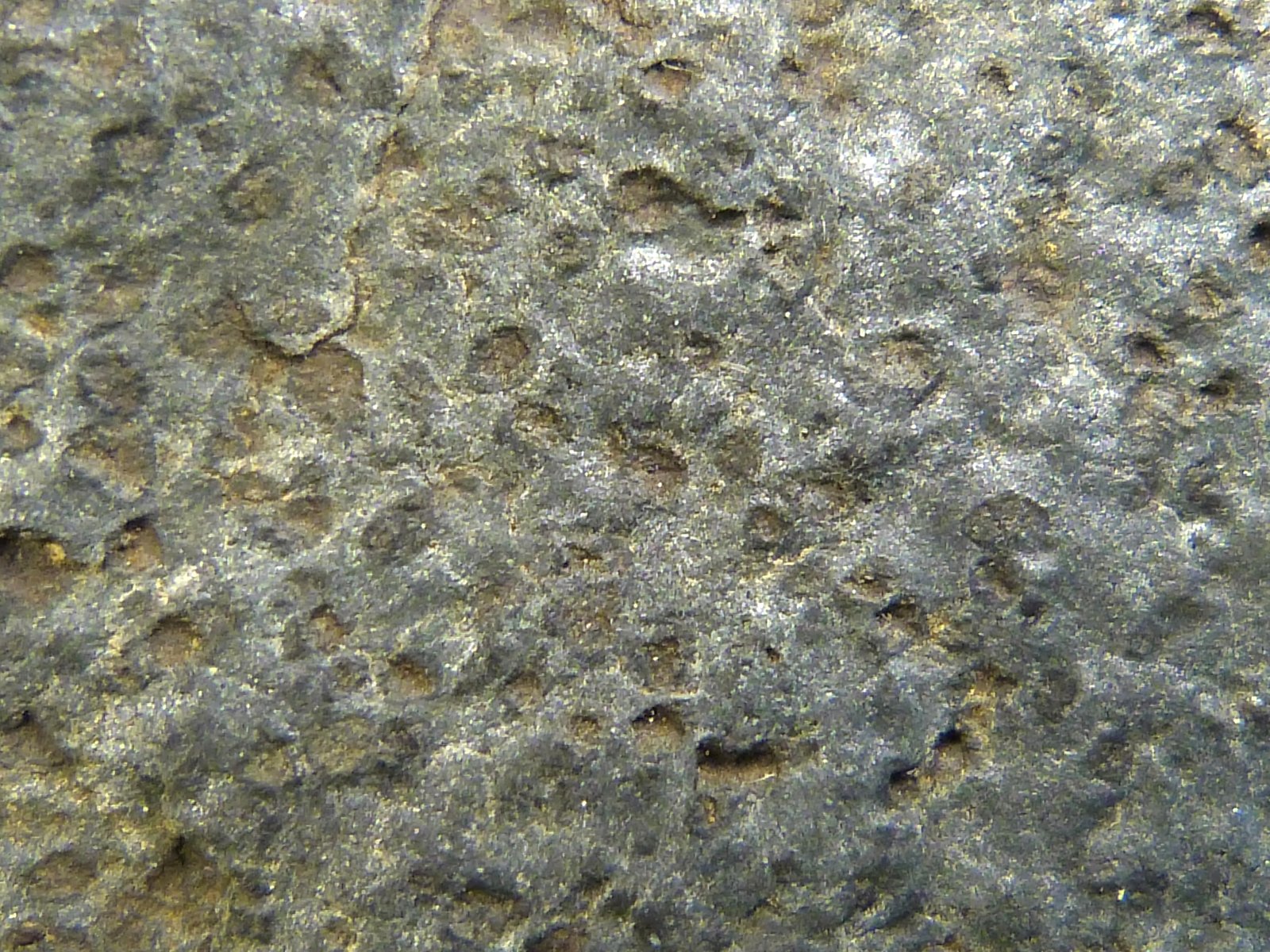 Corneana con cristales de cordierita
13 x 7 x 2,5 cm.
(Autor: Felipe Abolafia)