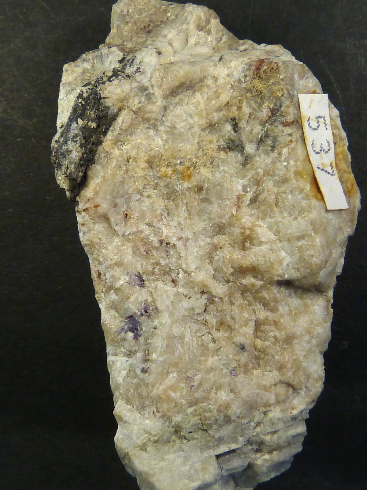 Diasporo
6 x 3 x 2 cm.
(Autor: Felipe Abolafia)
