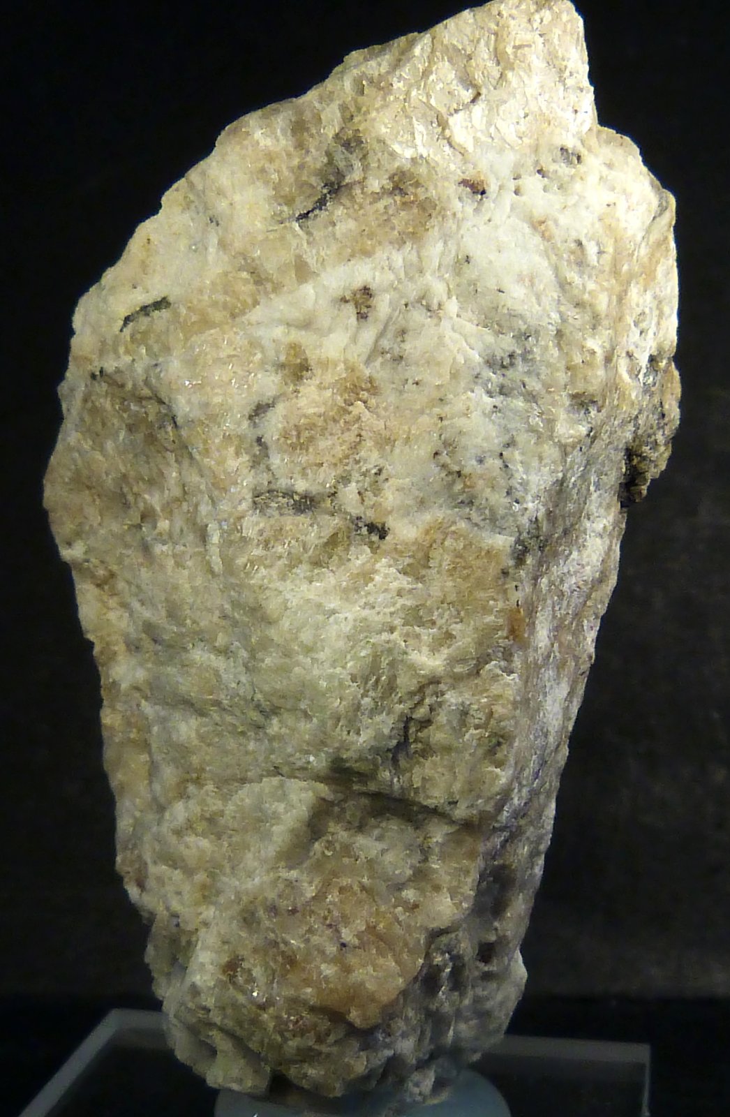 Diasporo
6 x 3 x 2 cm.
(Autor: Felipe Abolafia)